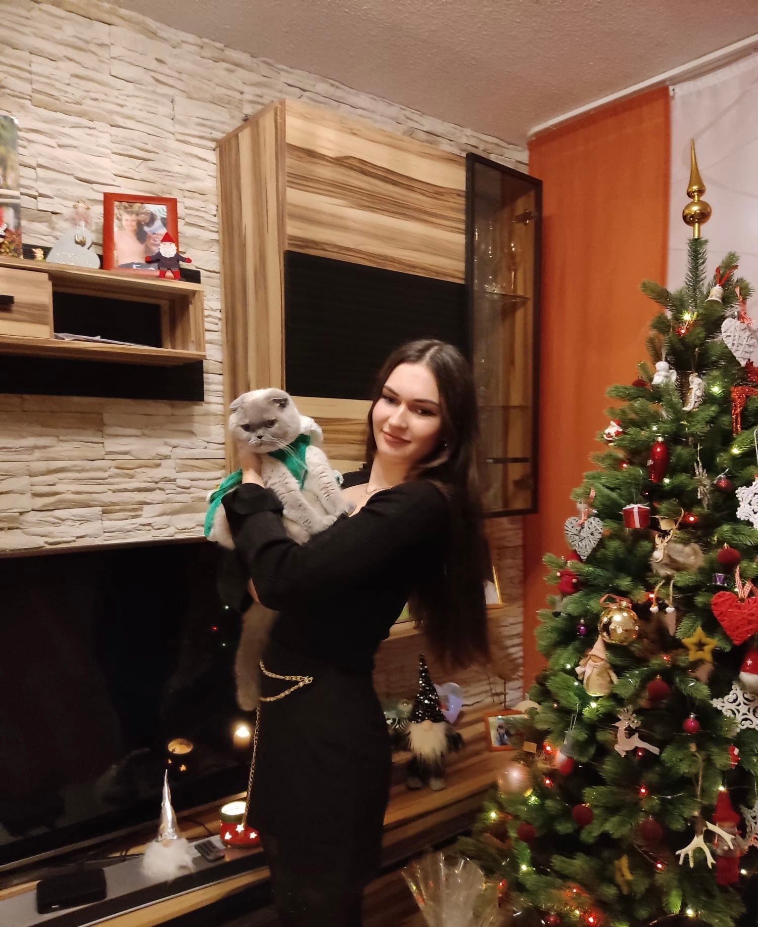 image-7