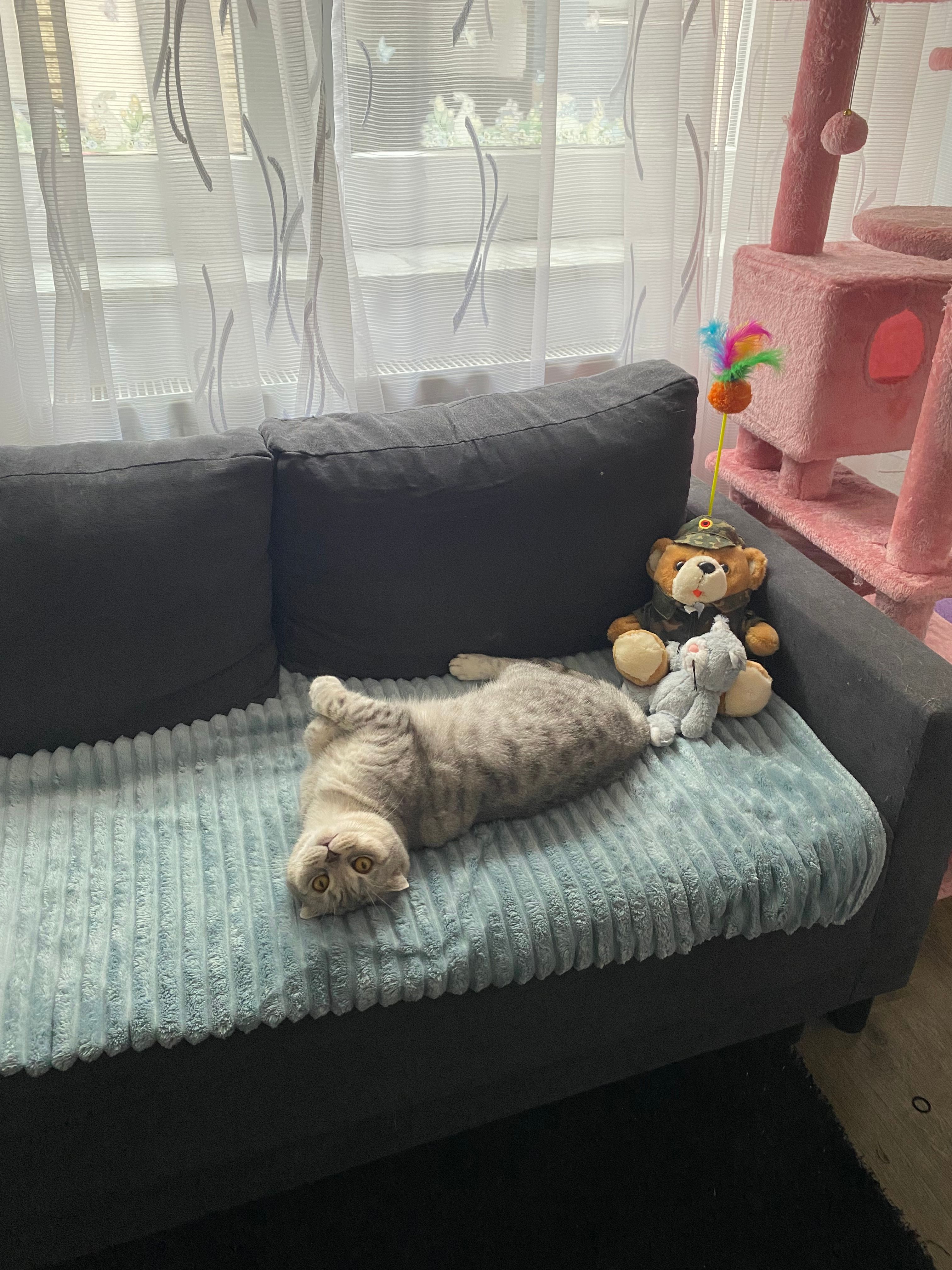 image-11