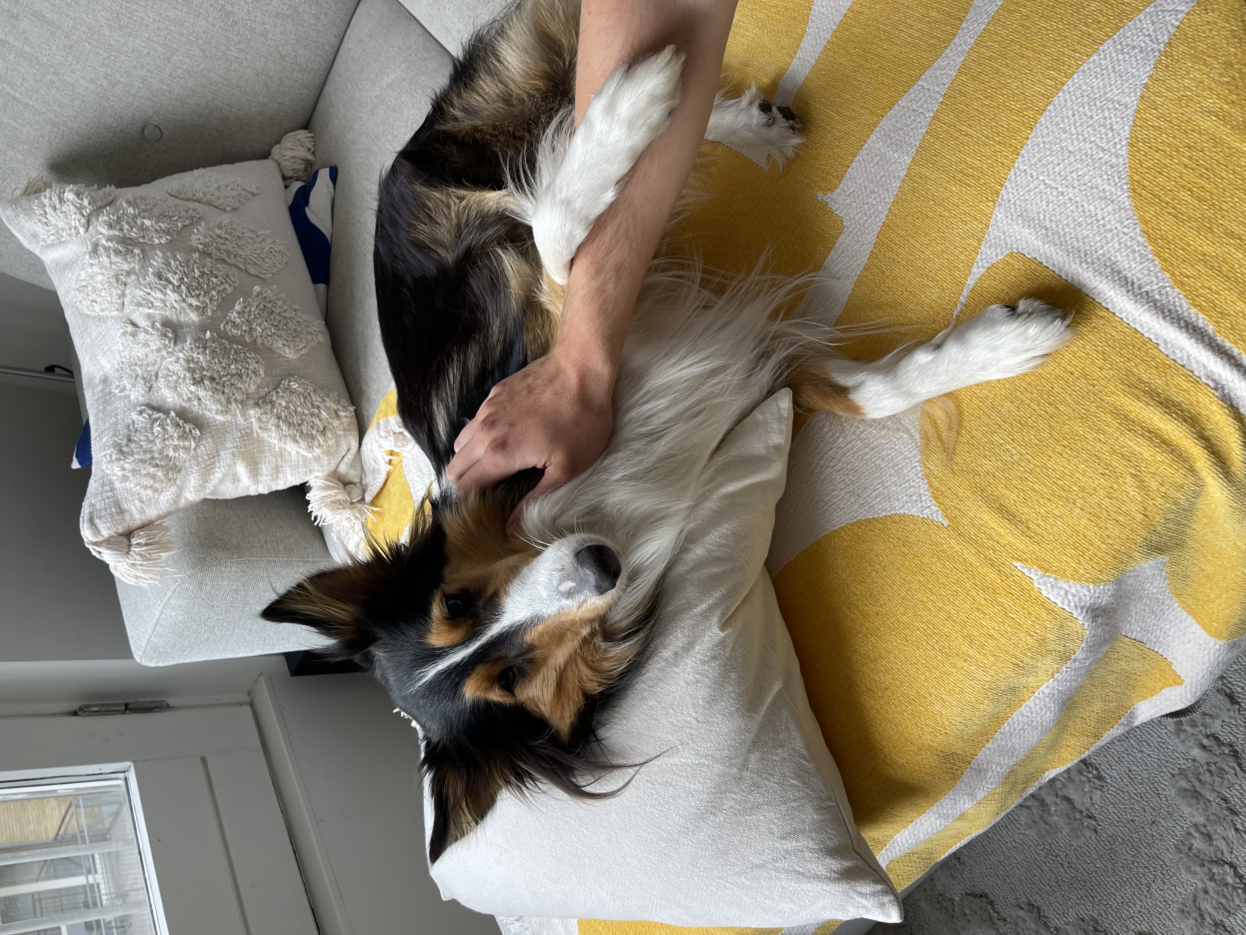 image-9