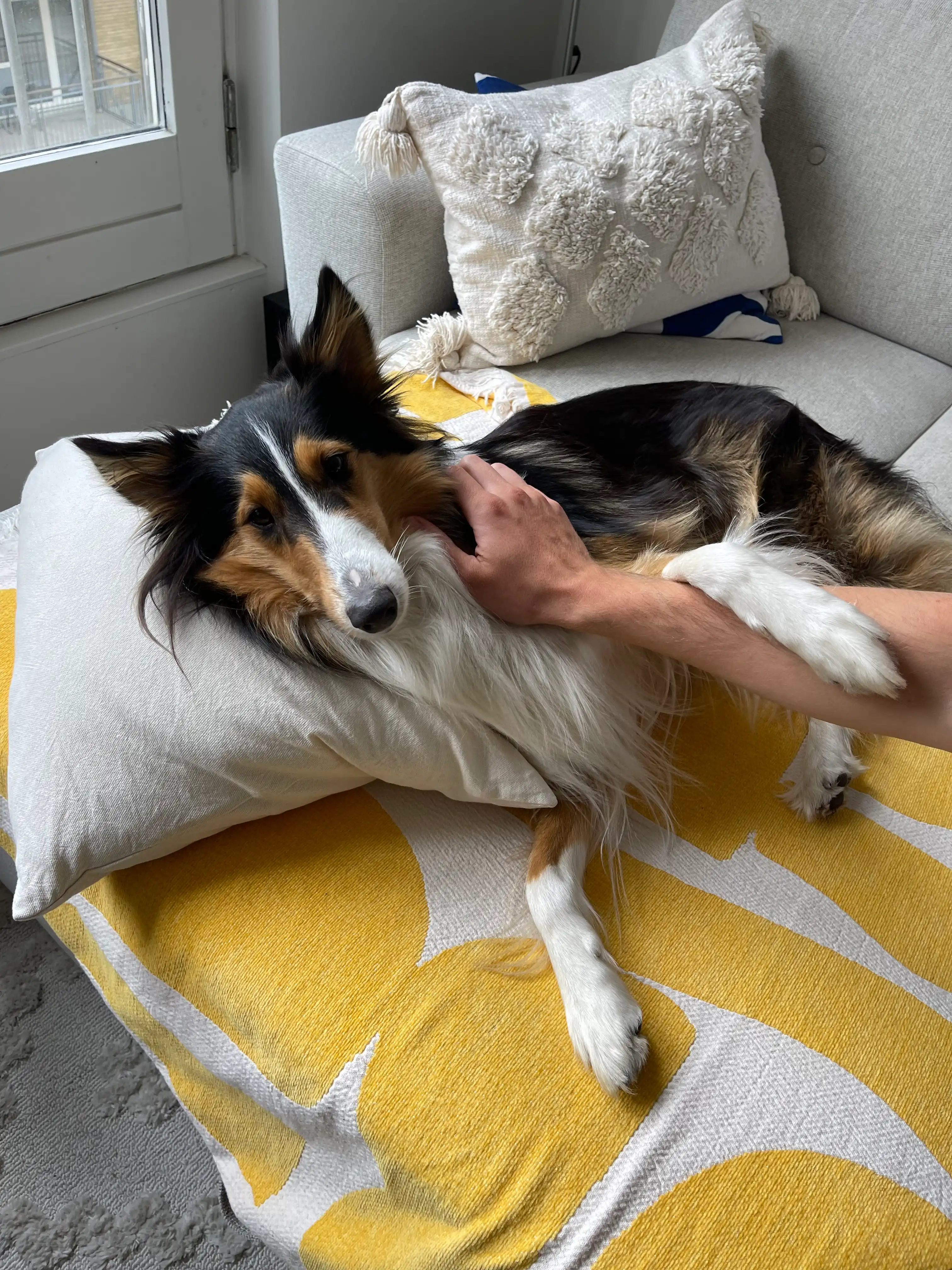 image-9