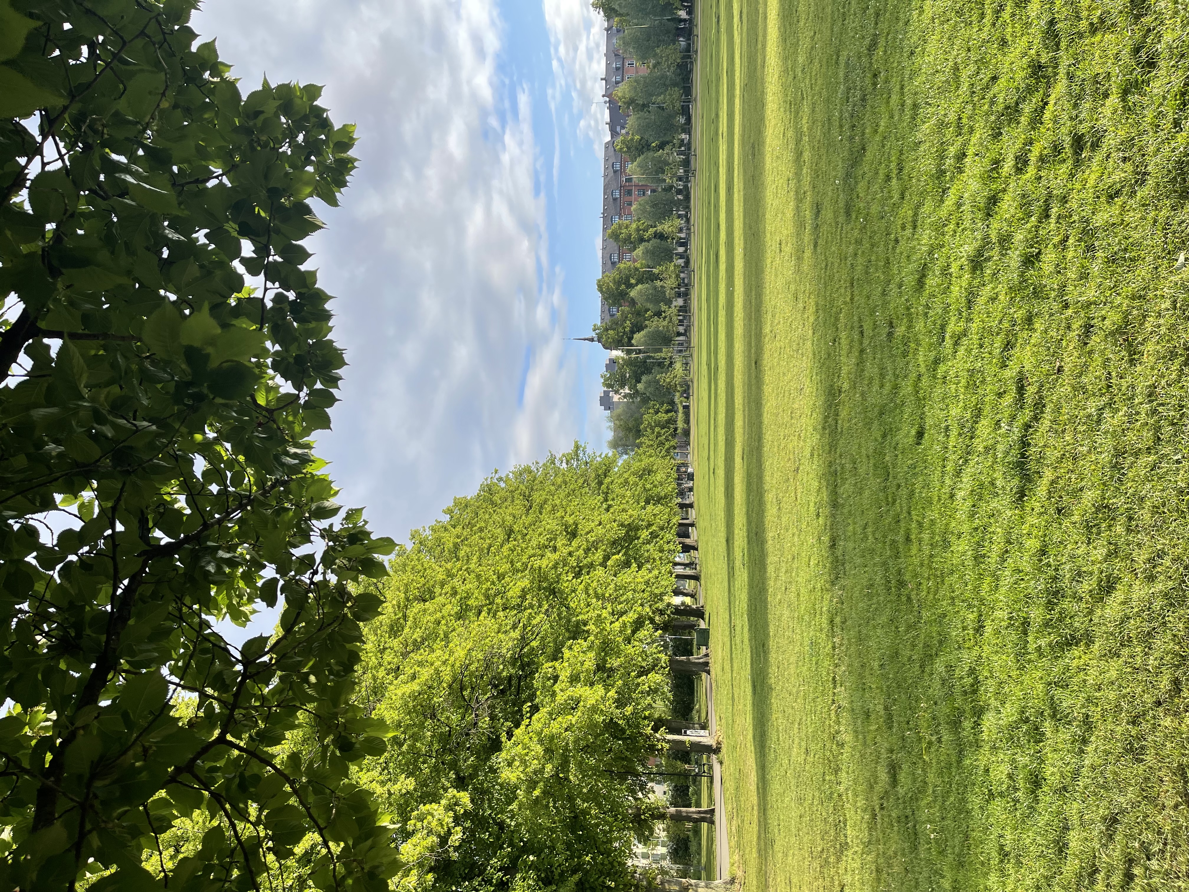 image-18