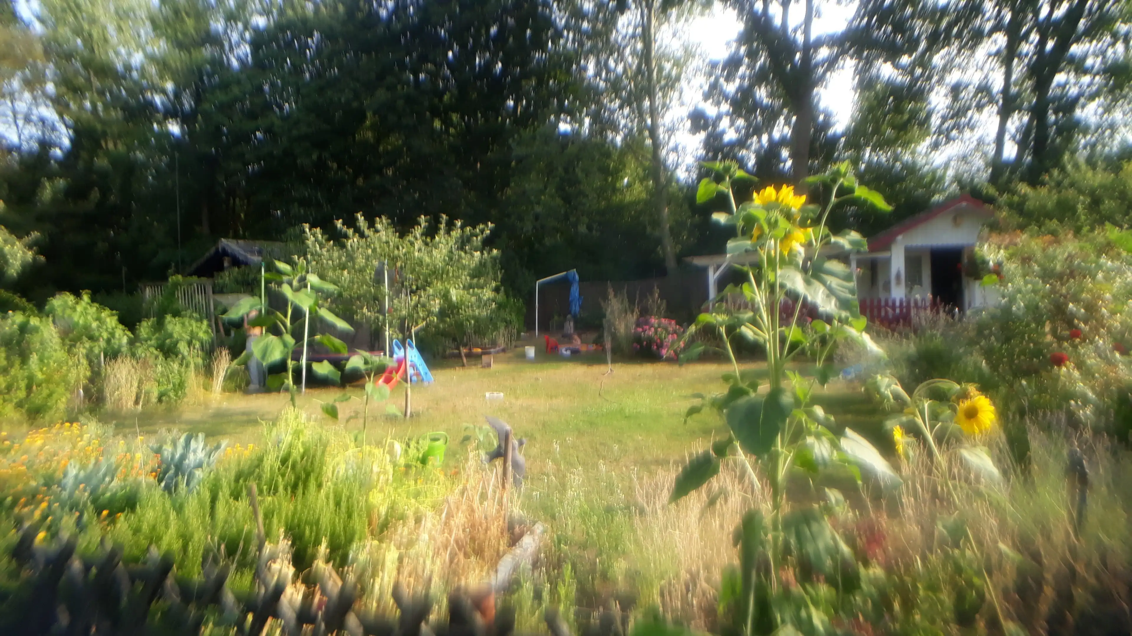 image-19