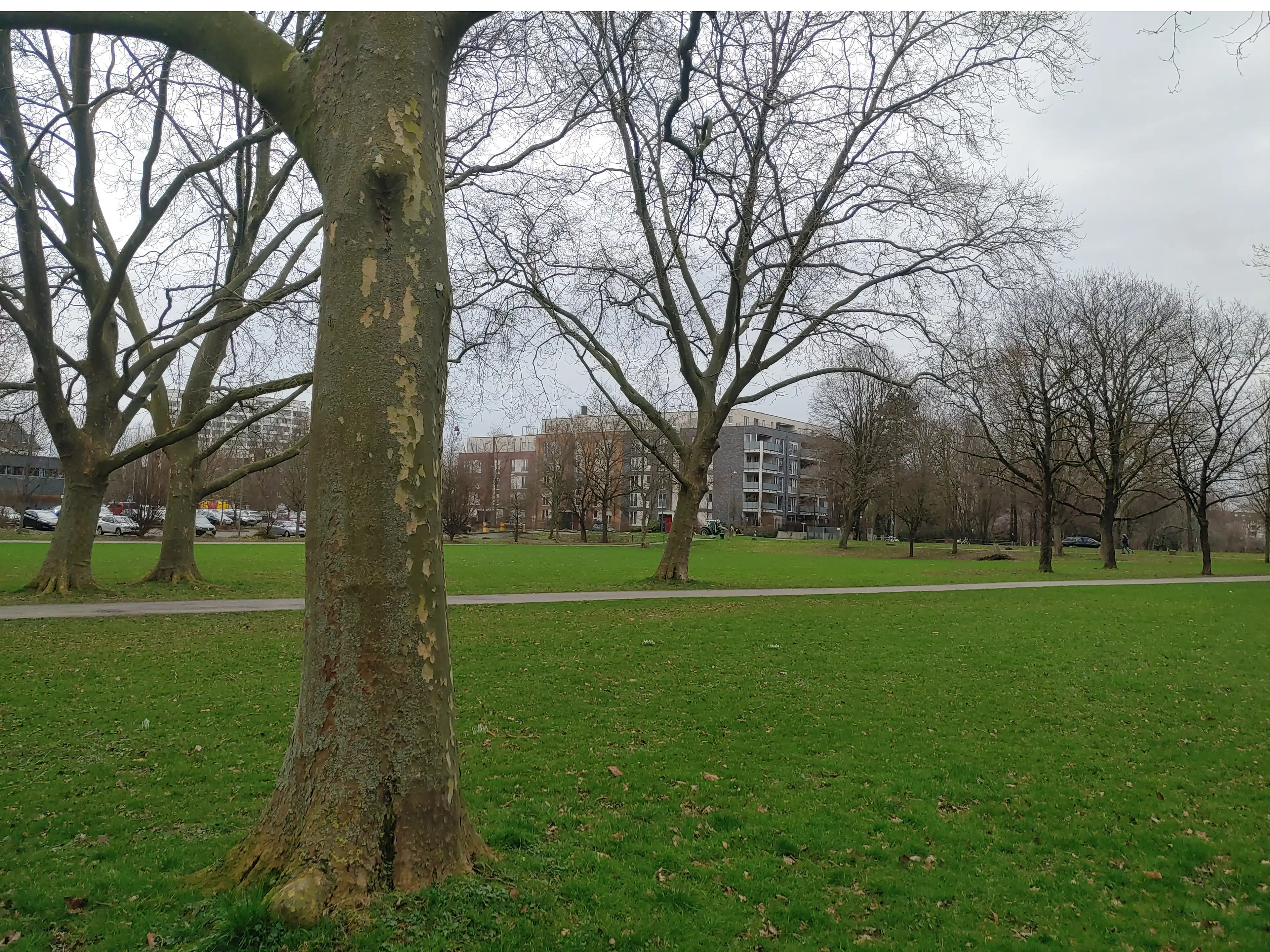 image-21