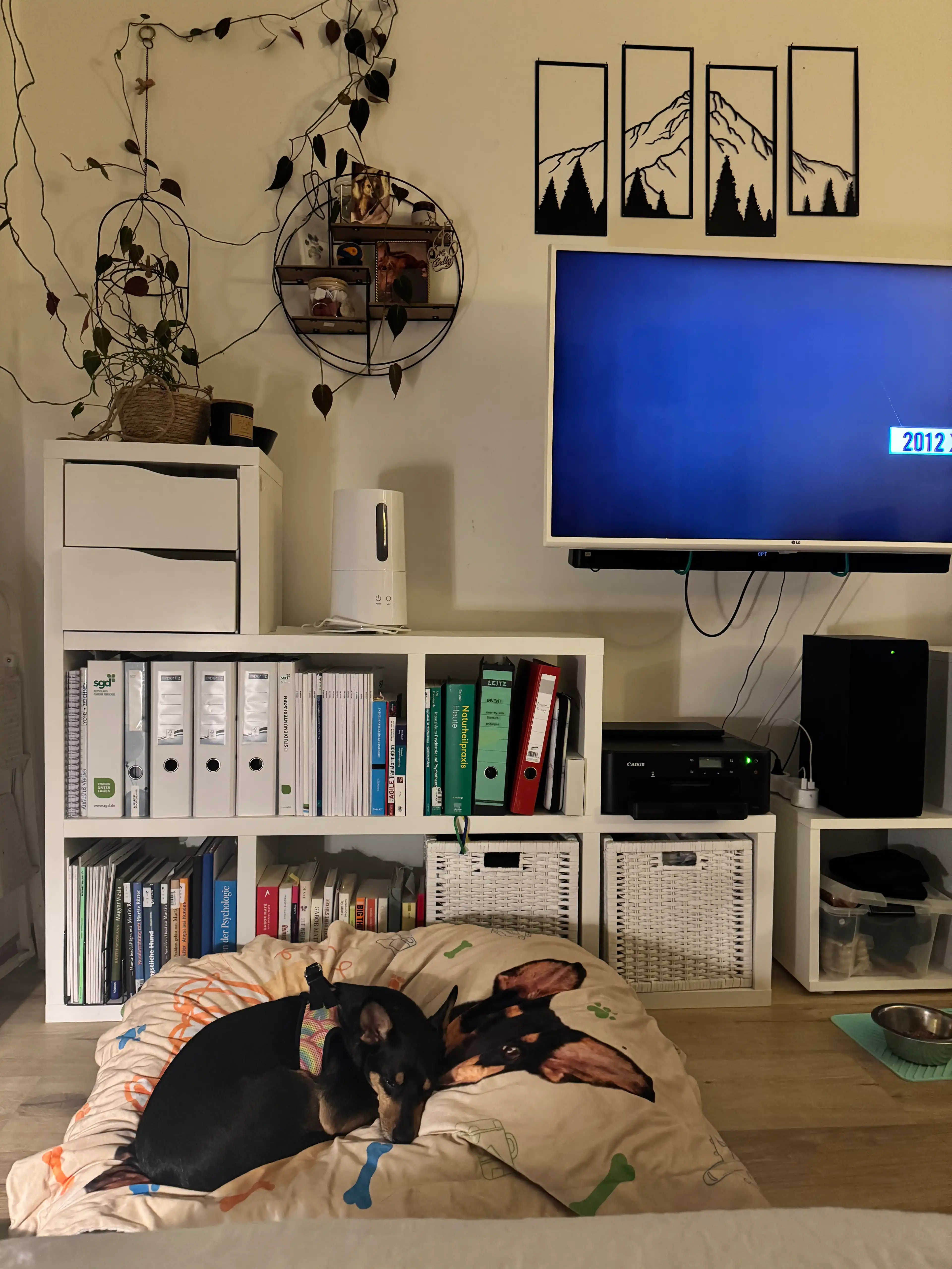 image-12