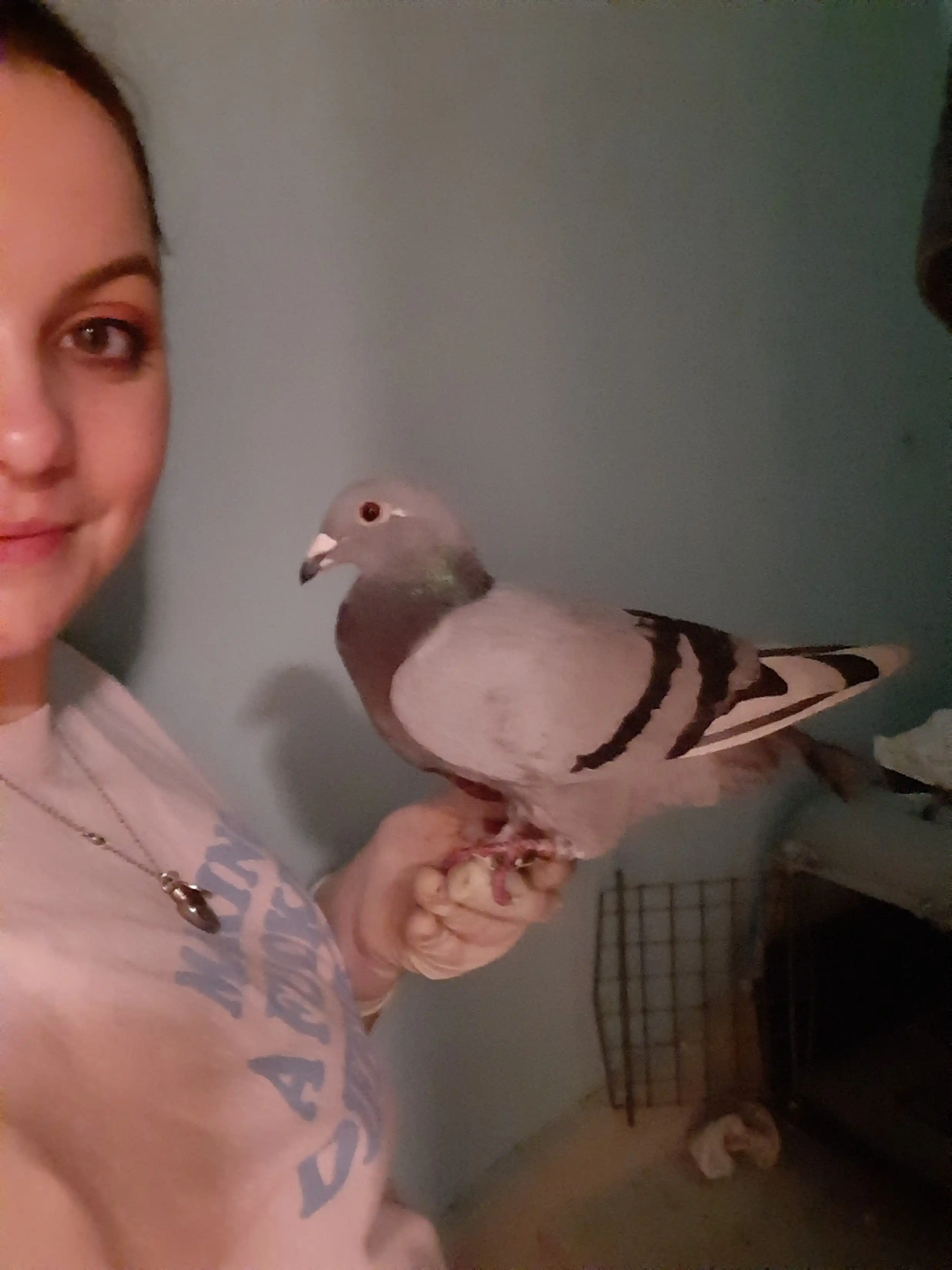 image-8