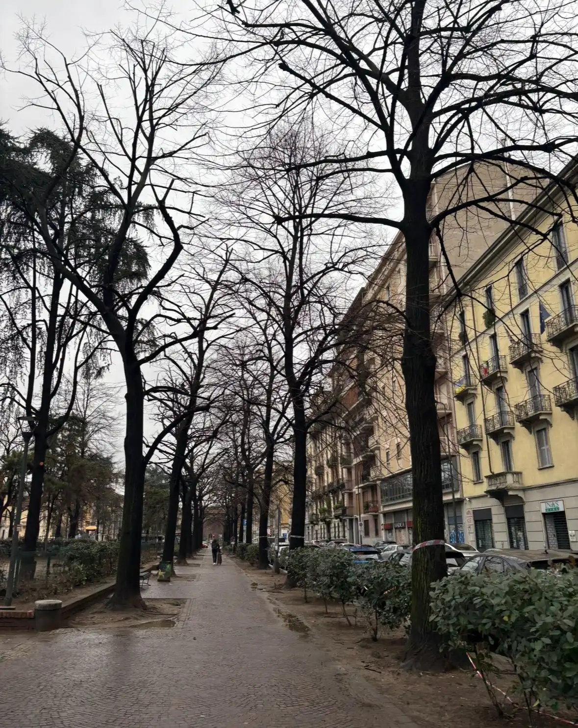 image-8