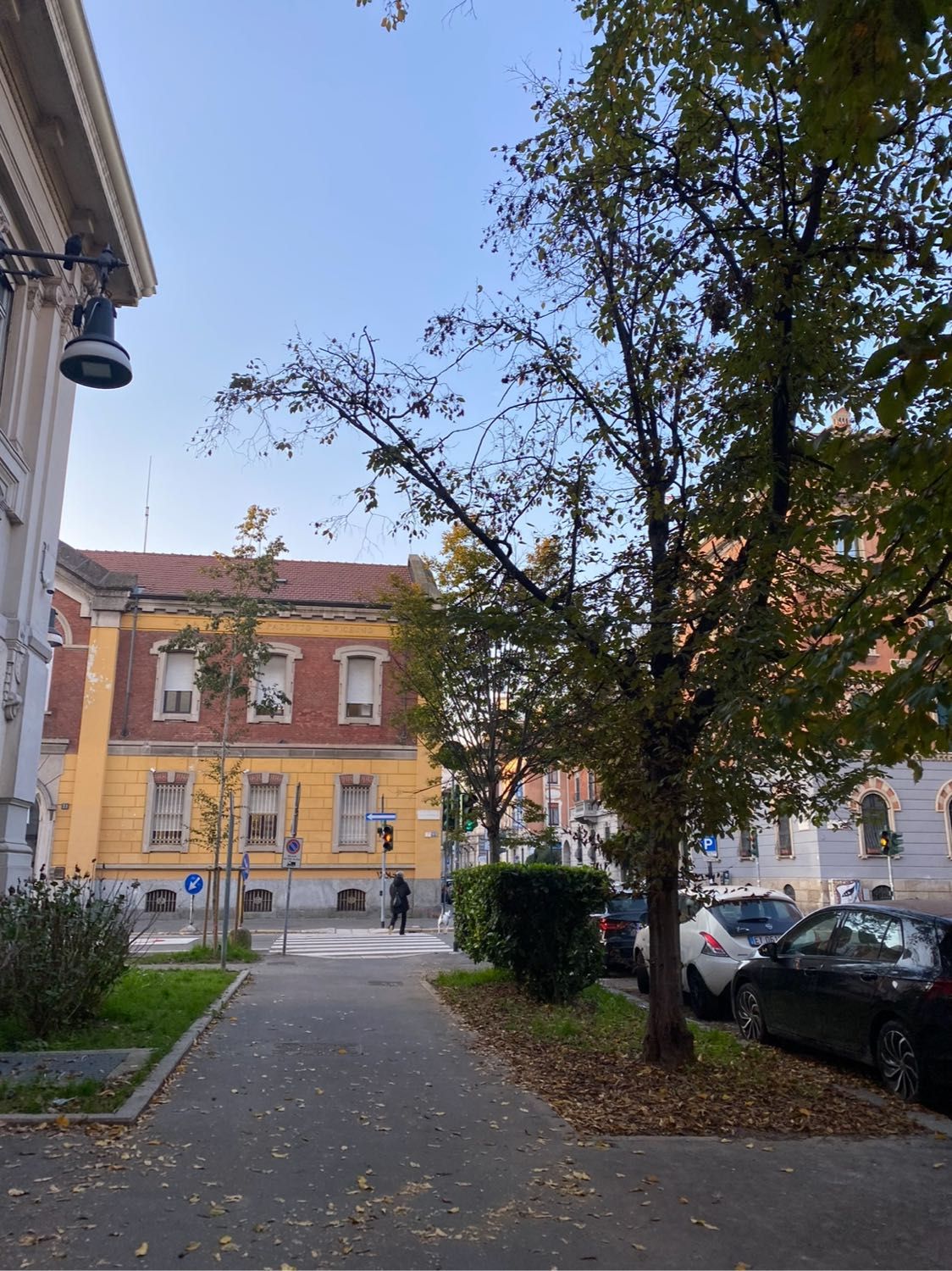 image-9