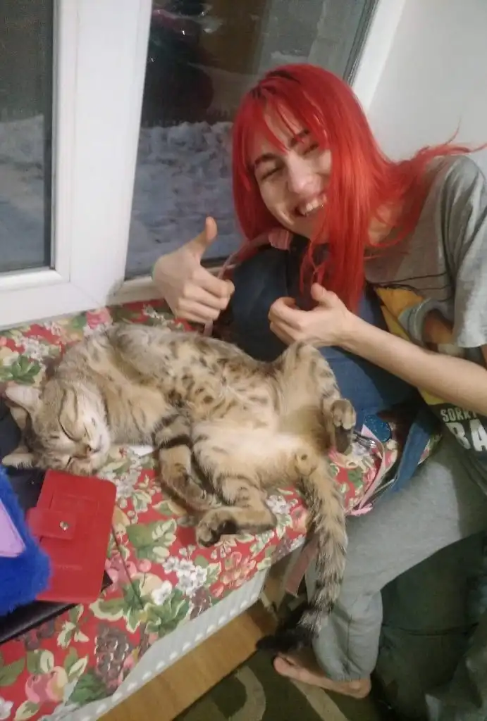 image-5