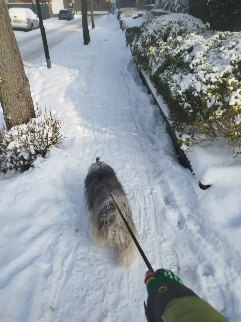 image-12