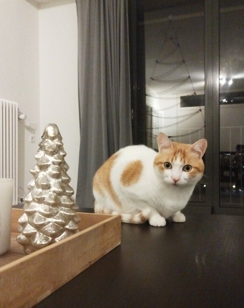image-6