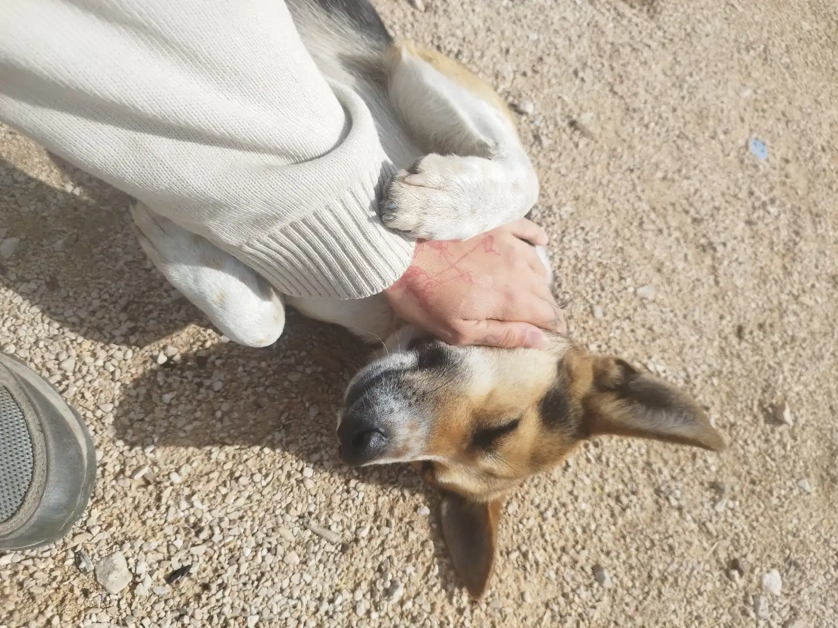 image-14