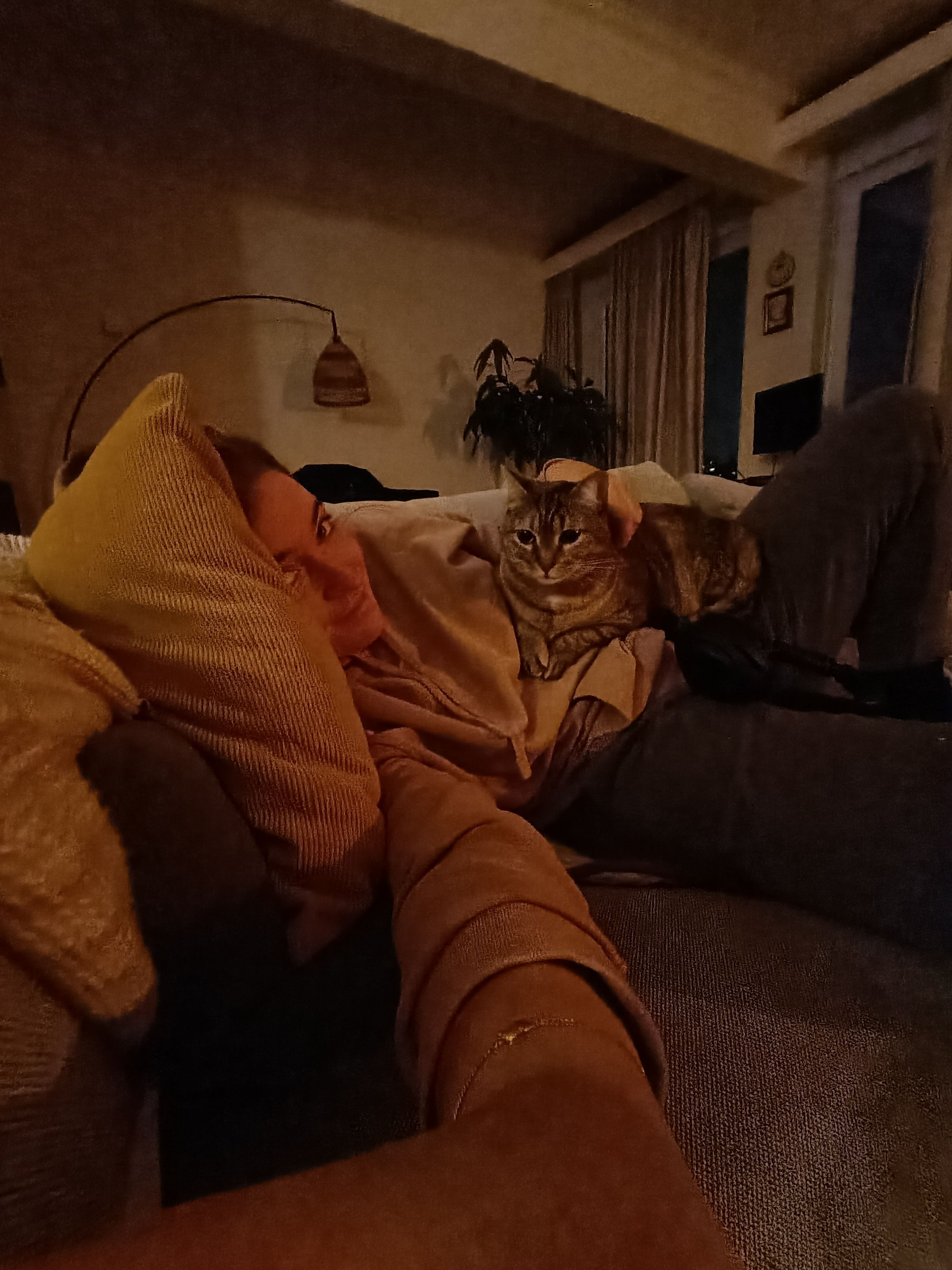 image-10