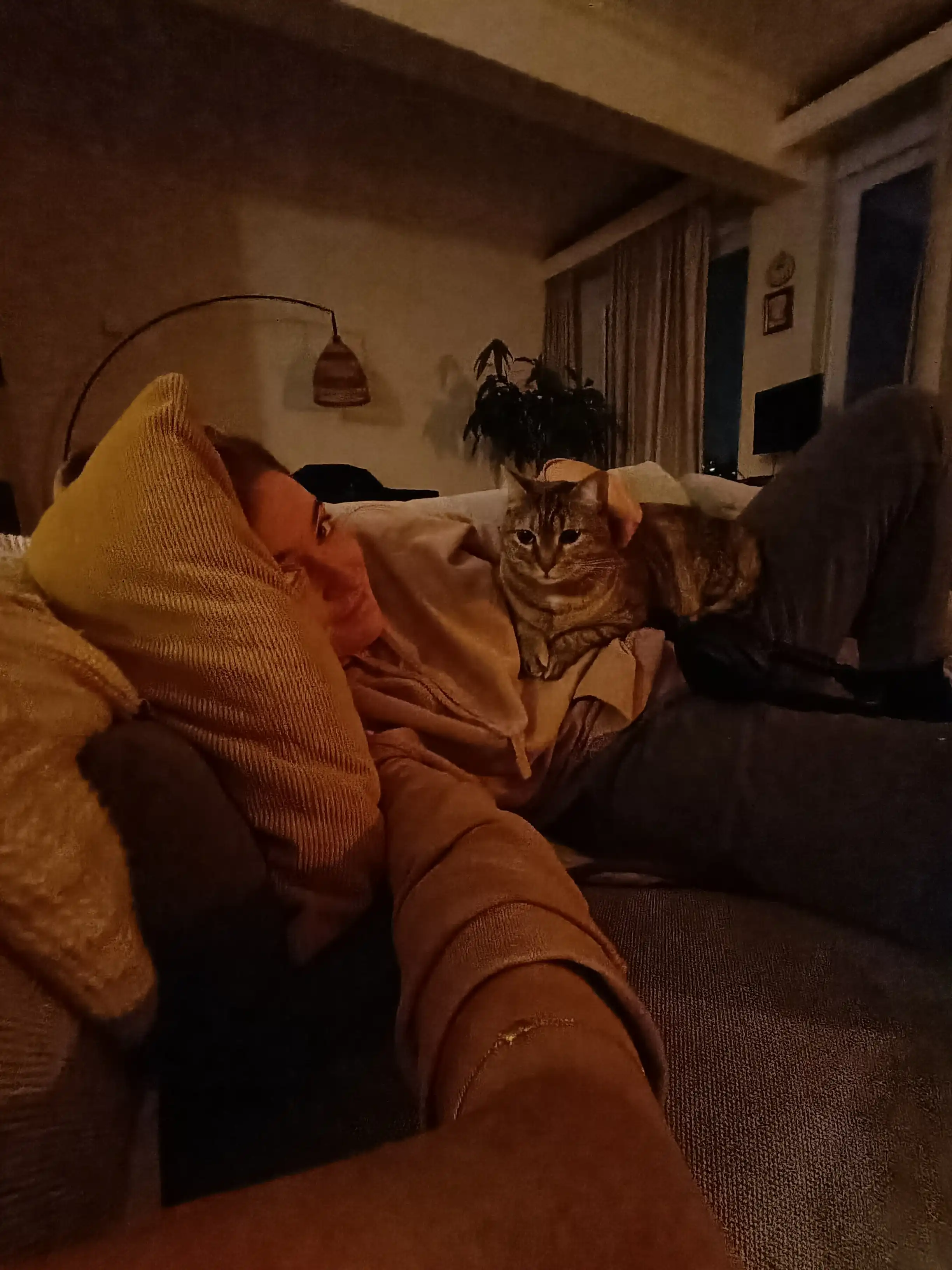 image-10