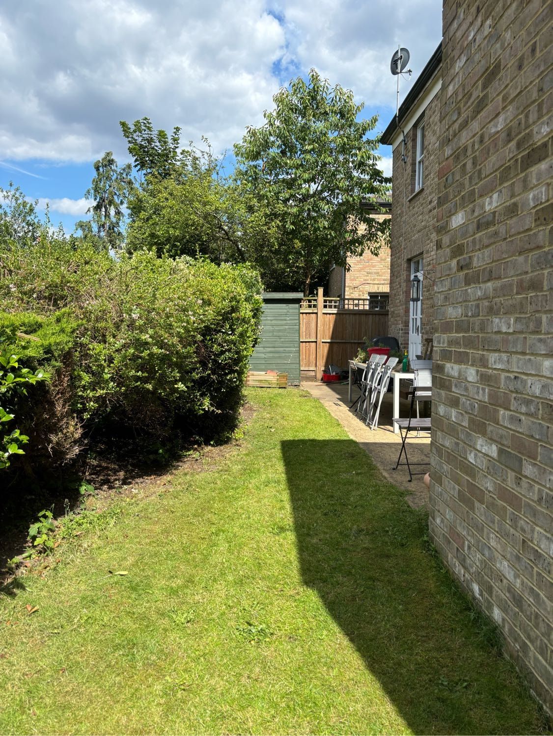 image-4