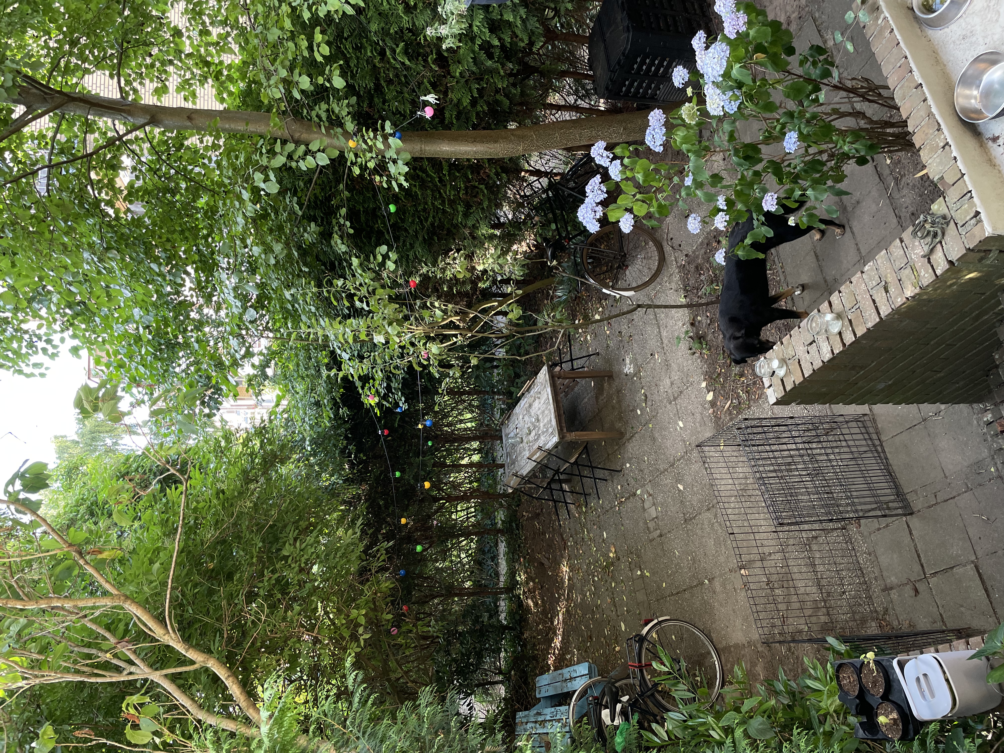 image-9