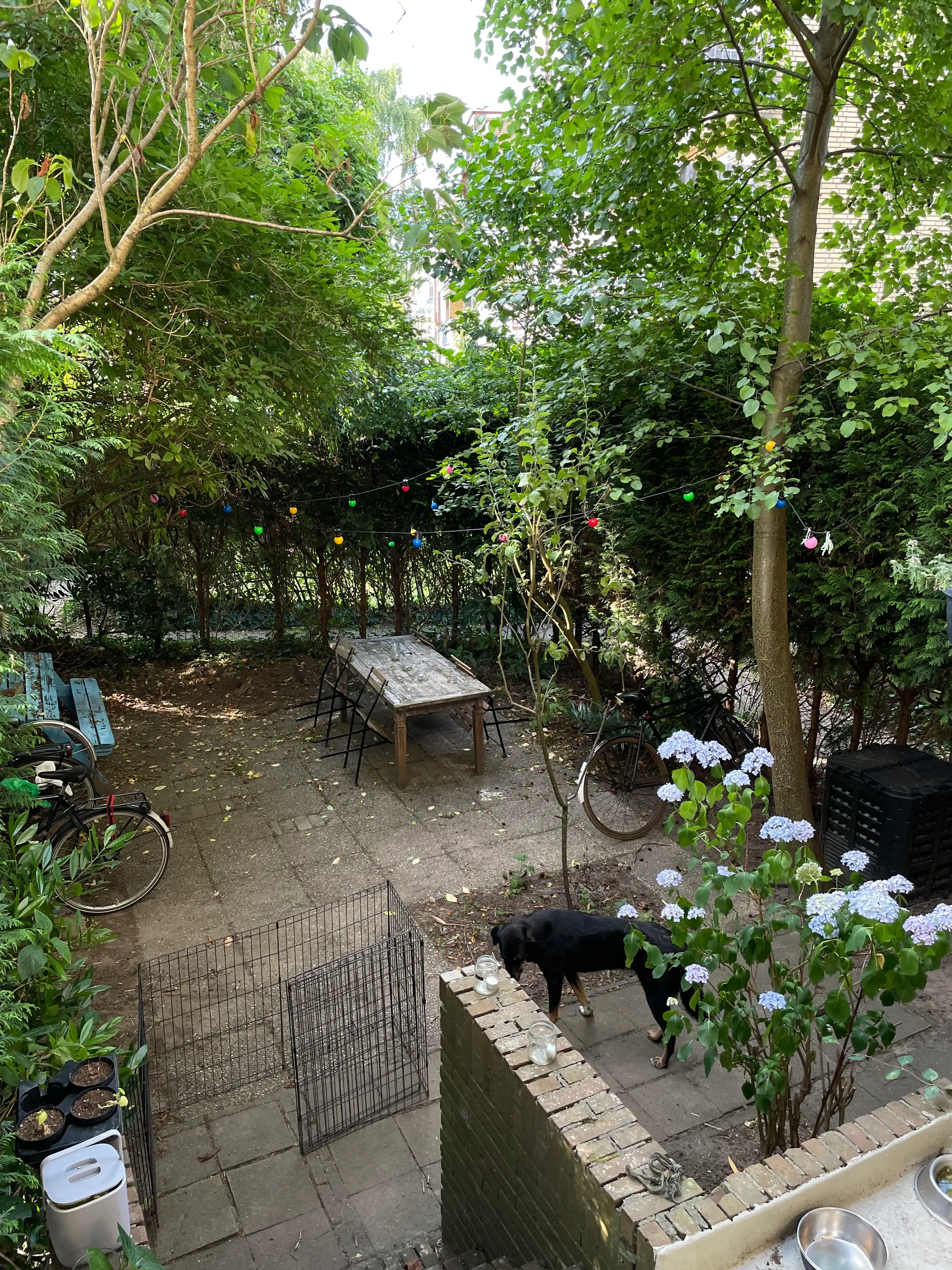 image-9