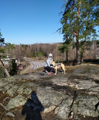 image-4