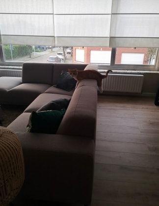 image-5