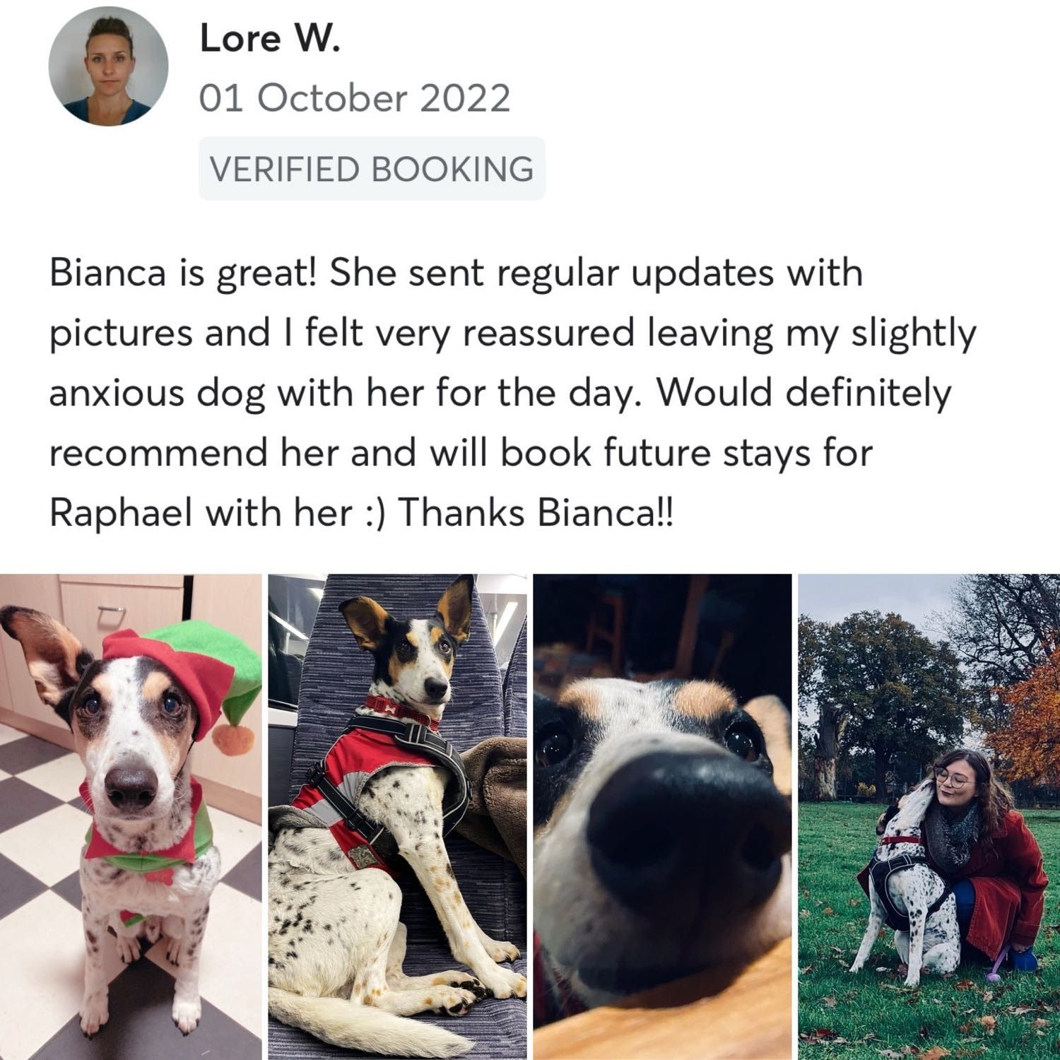 image-16