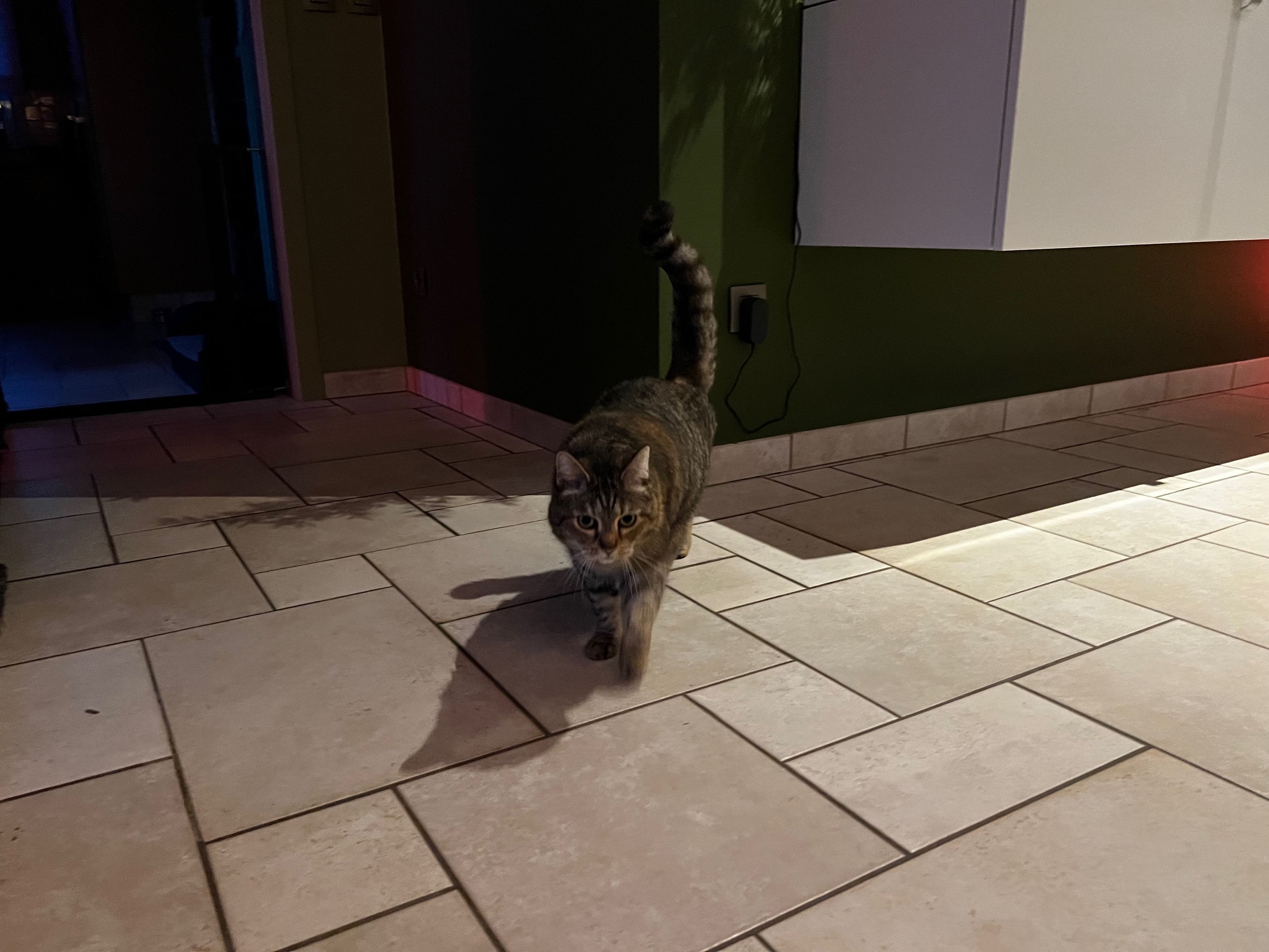 image-16