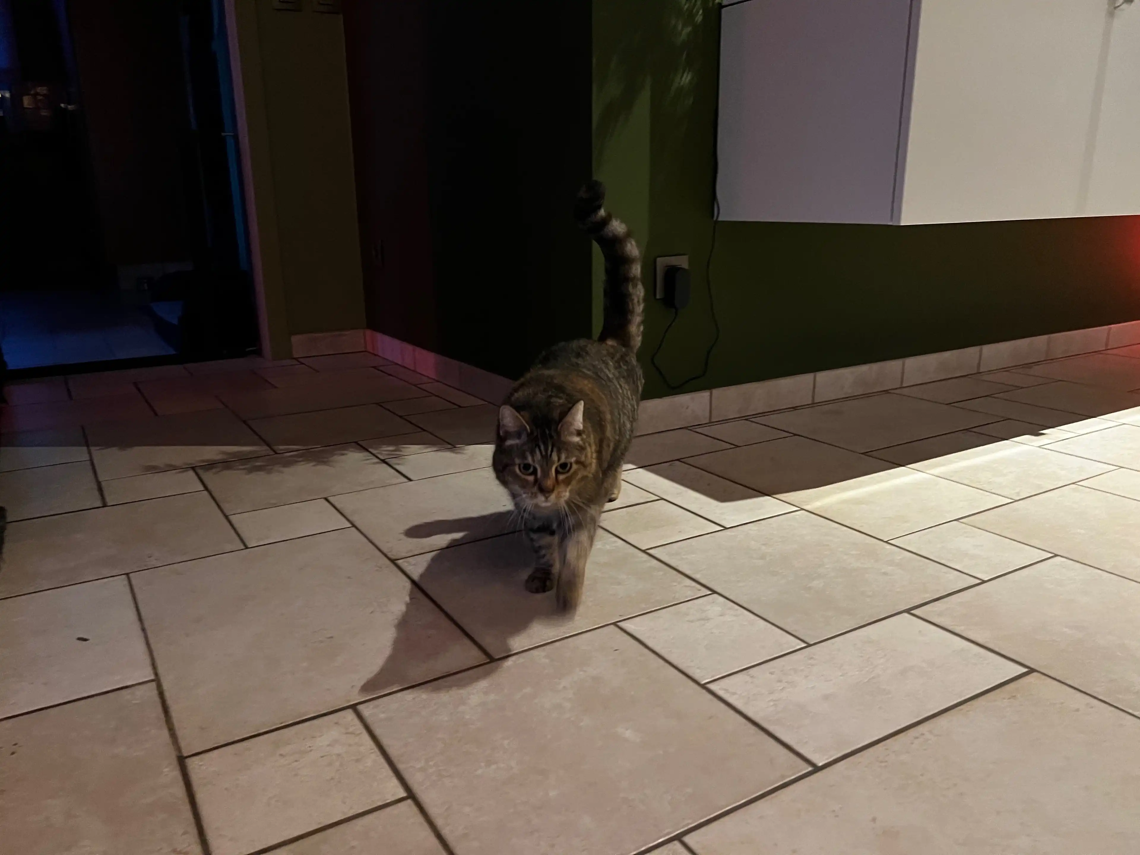 image-16