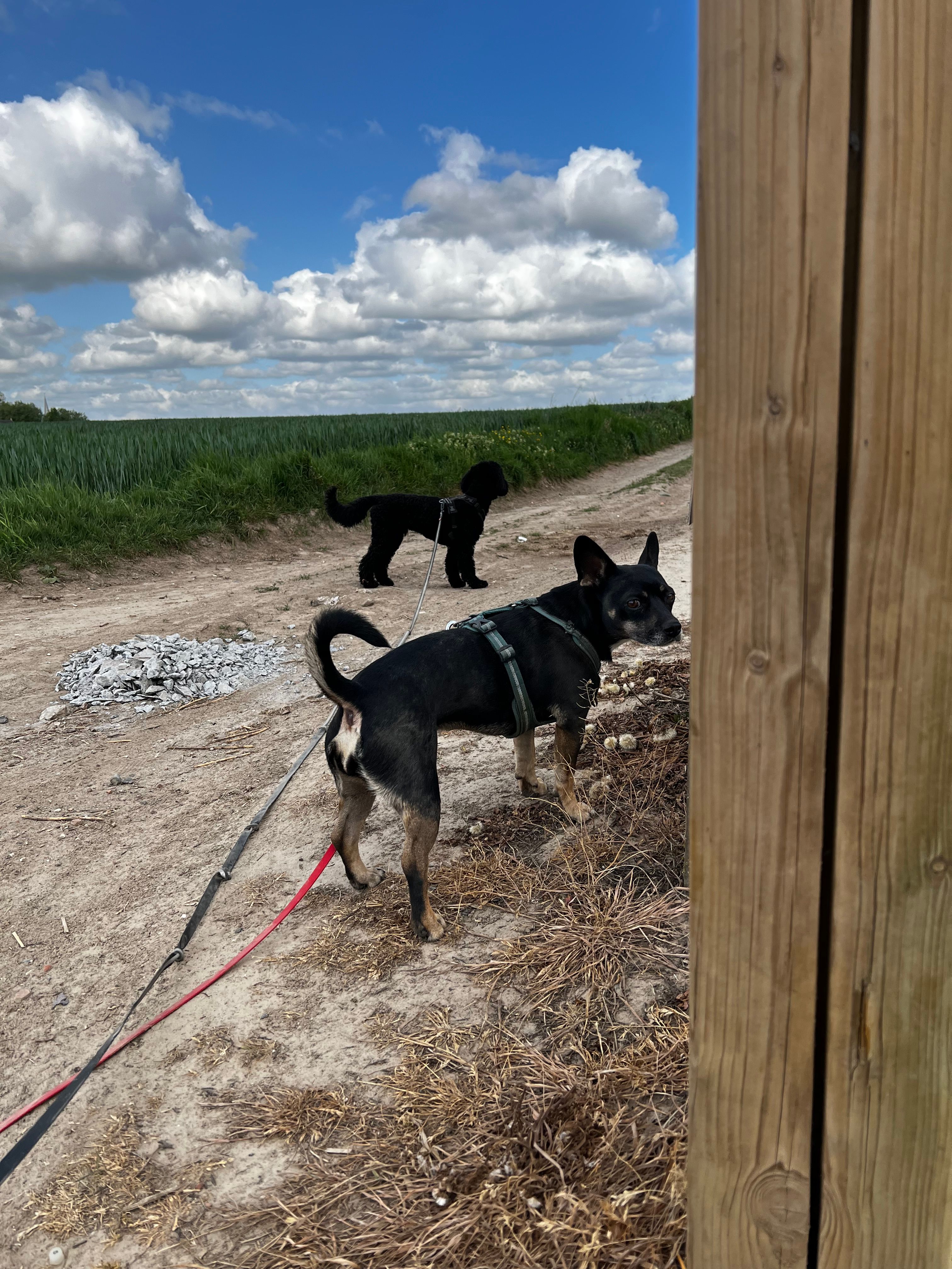 image-9