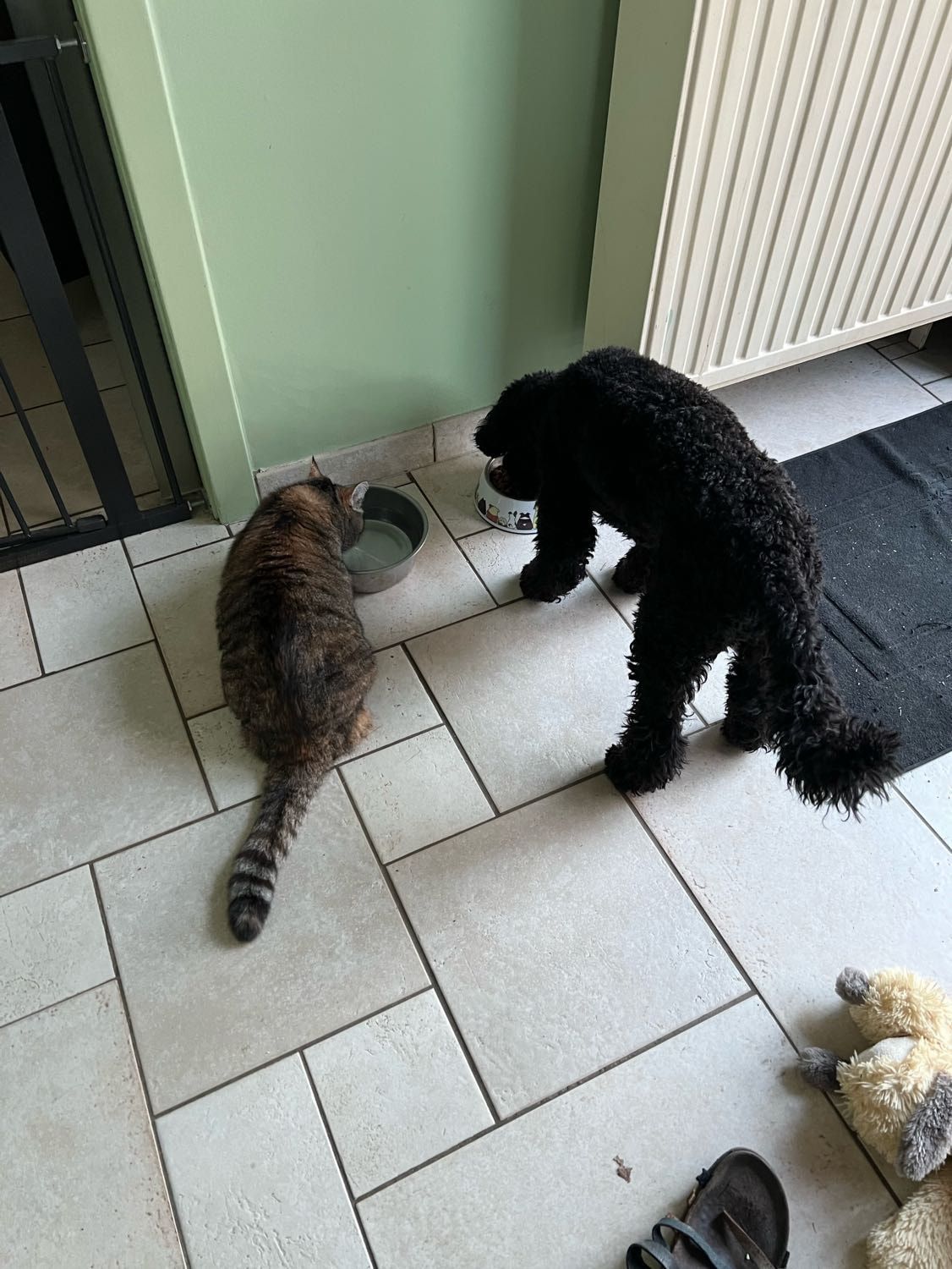 image-27