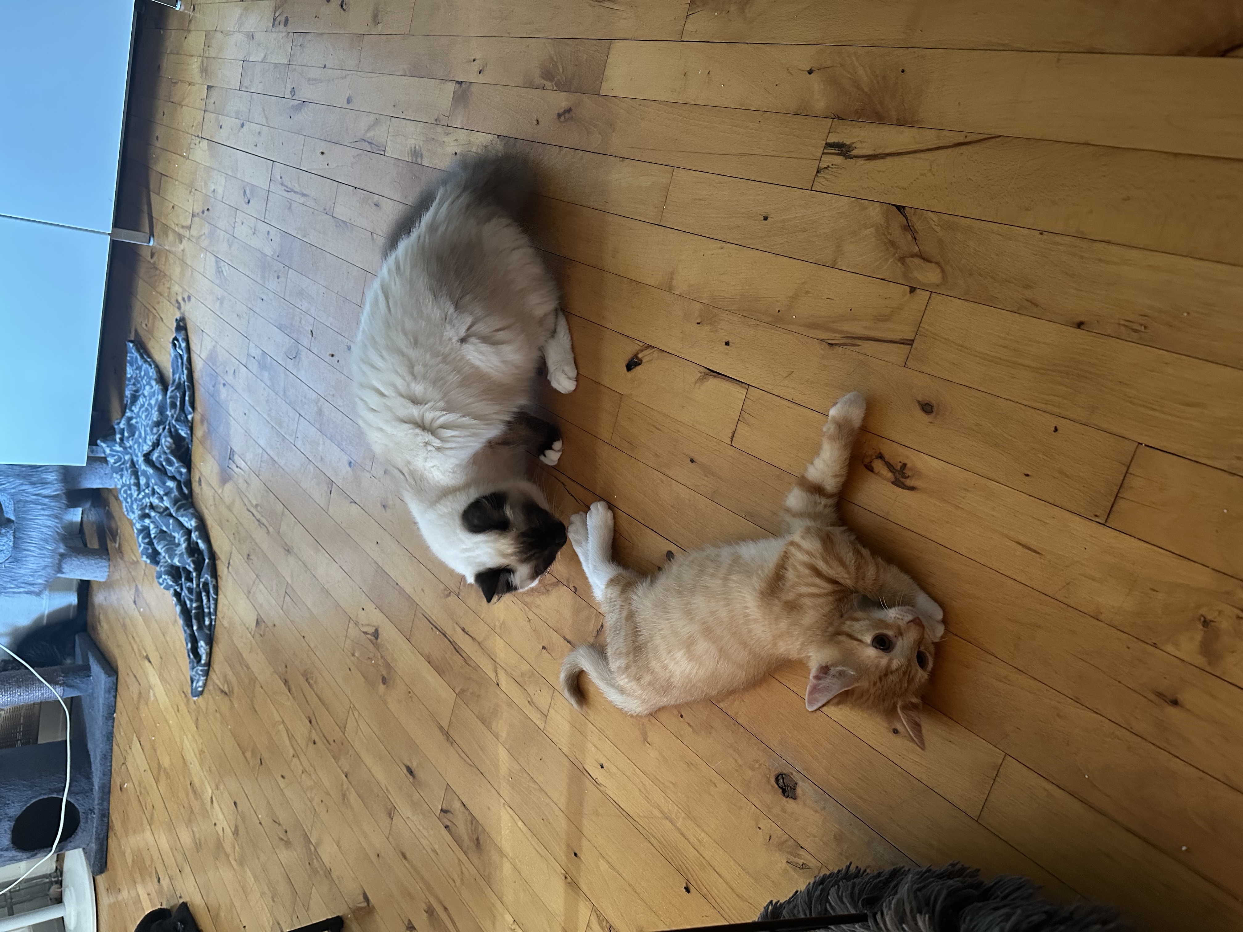 image-7