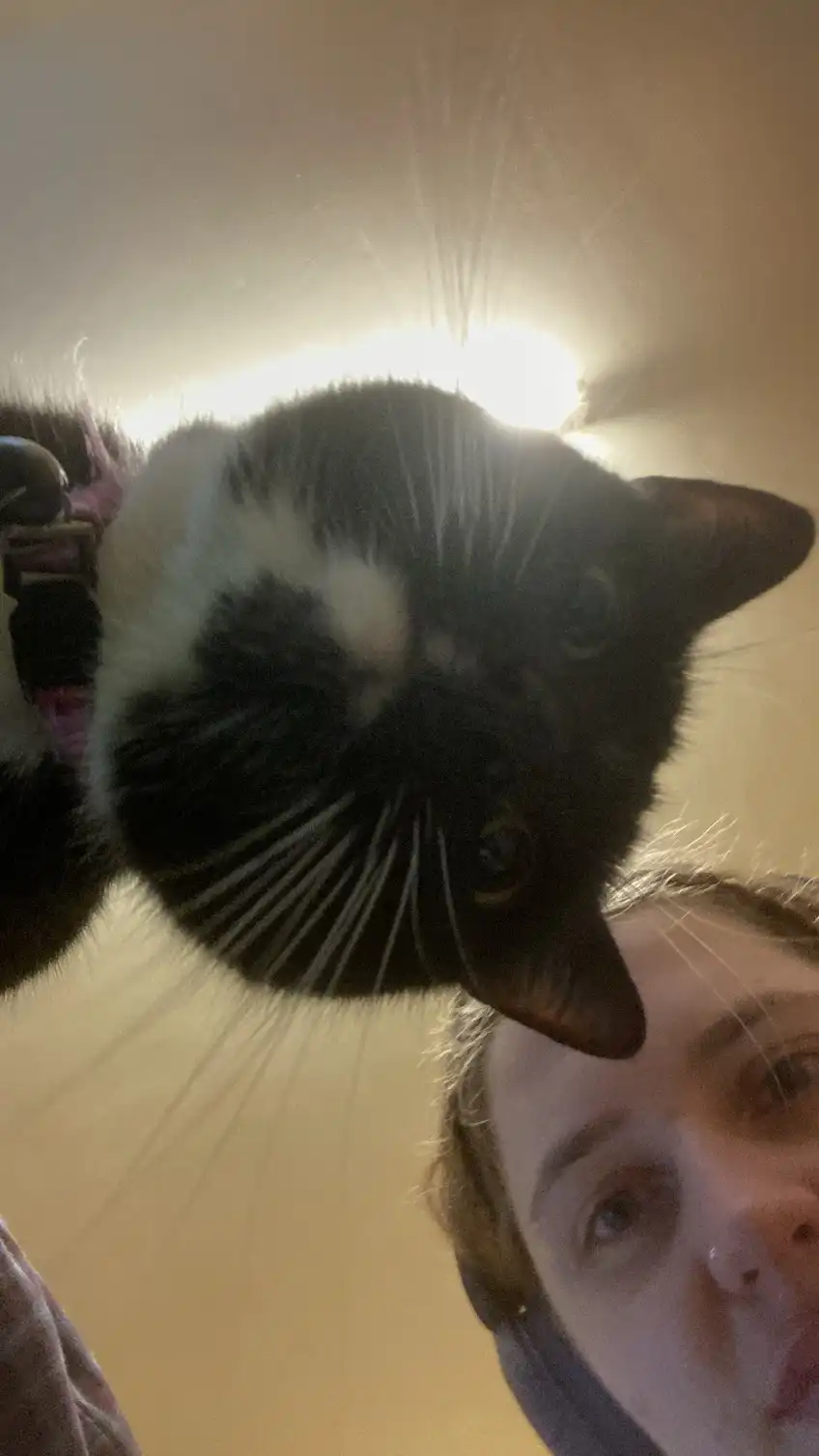 image-8