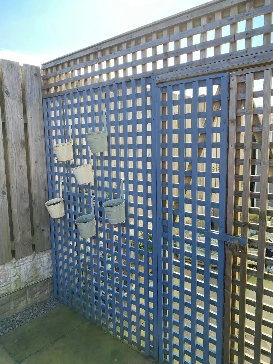 image-5