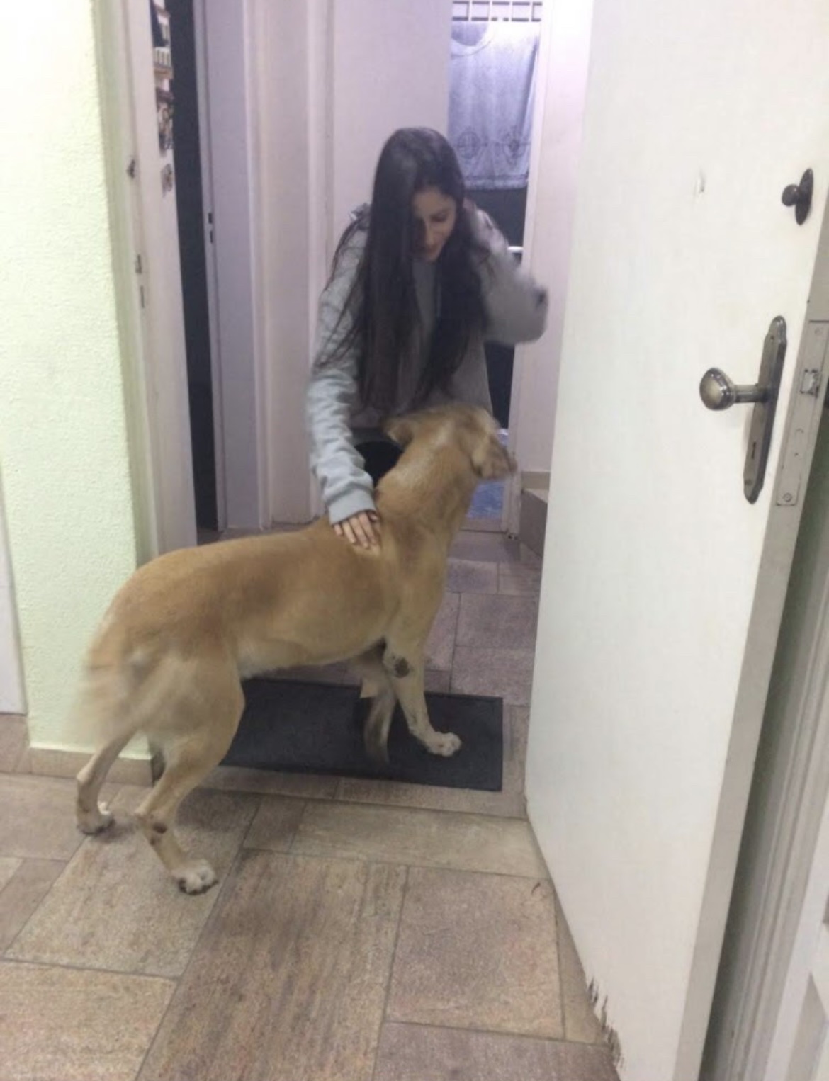 image-10