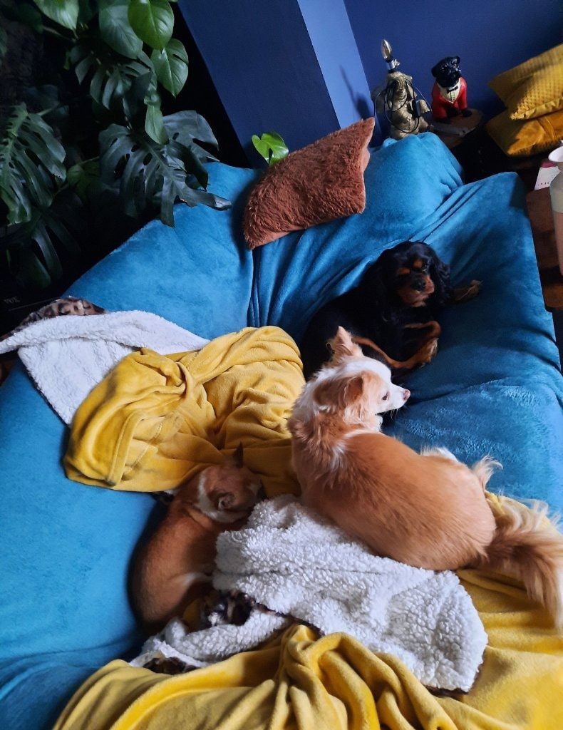 image-3