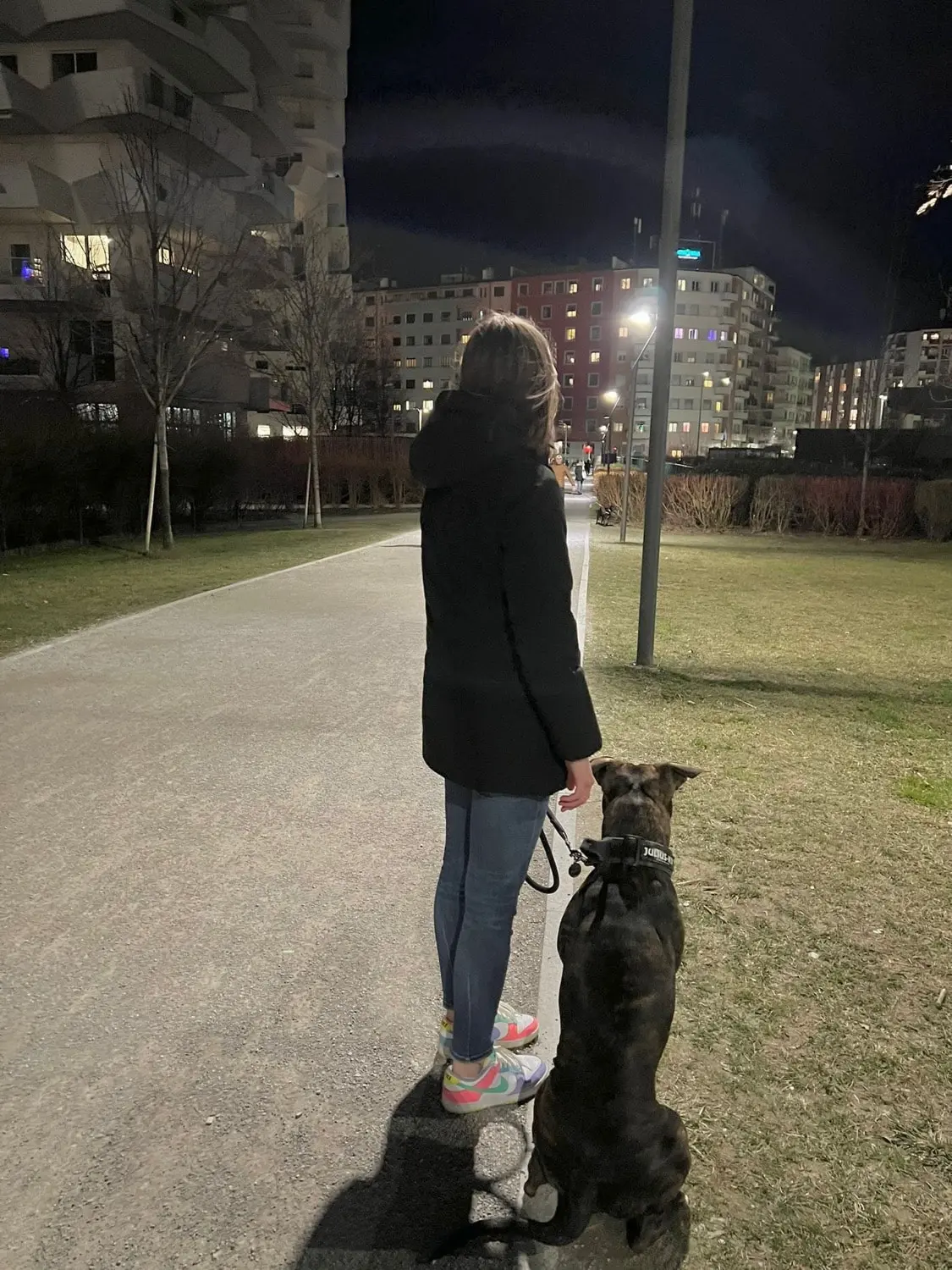 image-3
