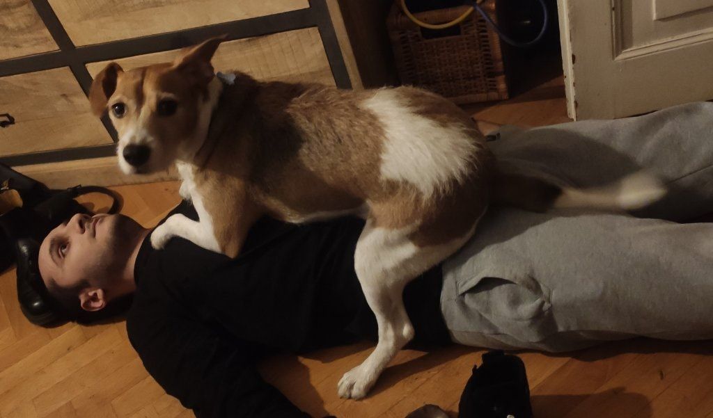 image-9