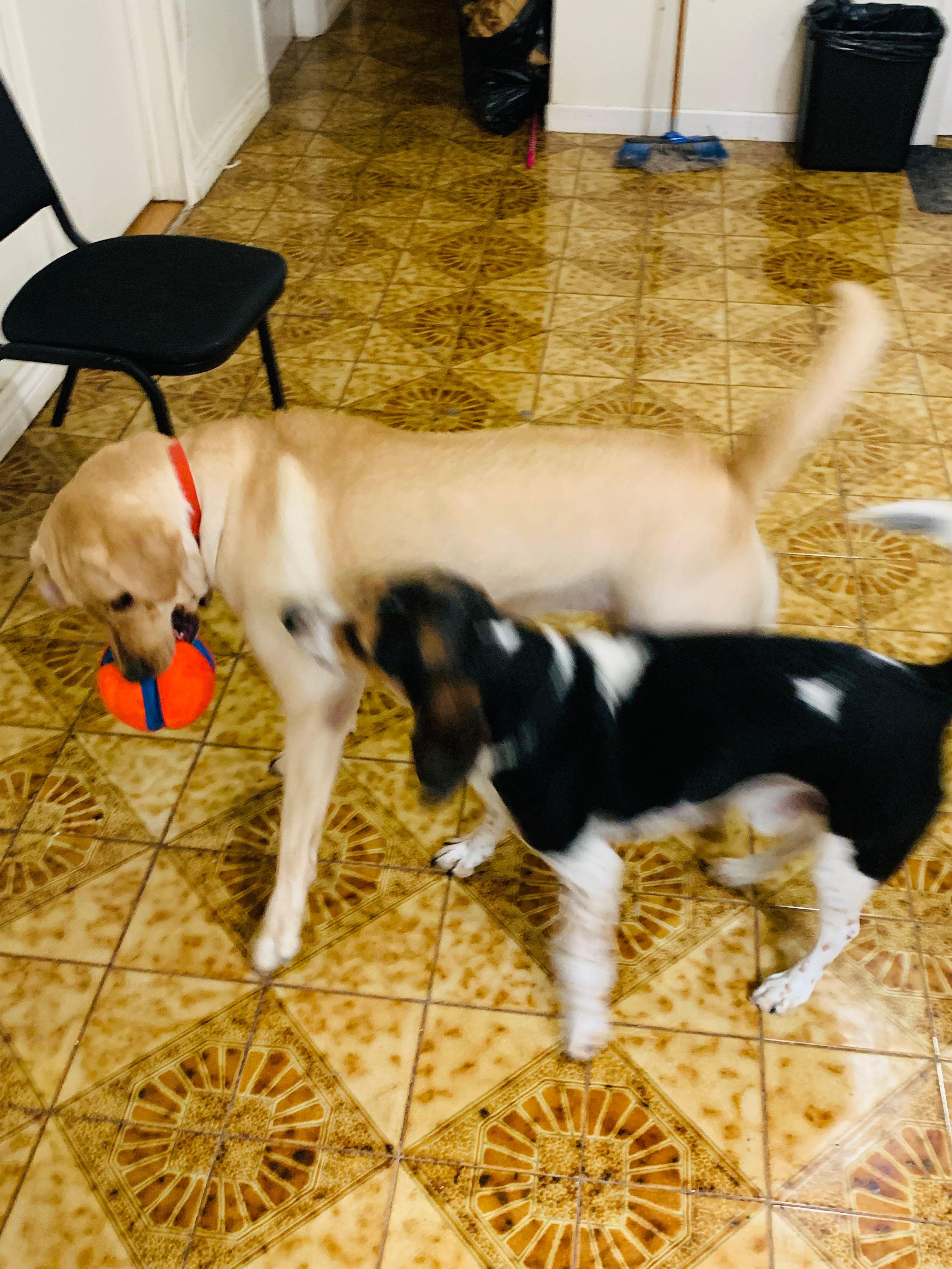 image-23