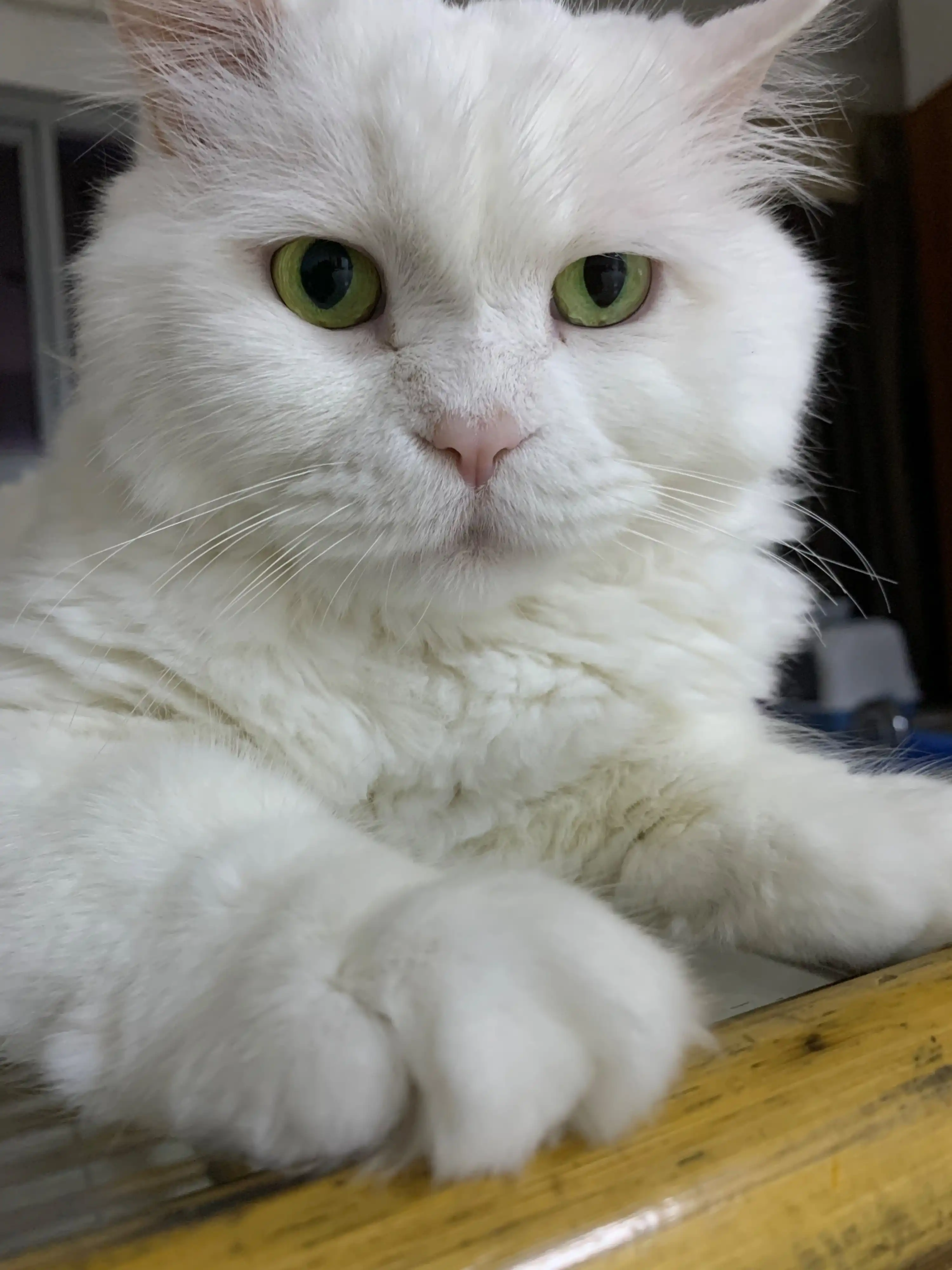 image-6