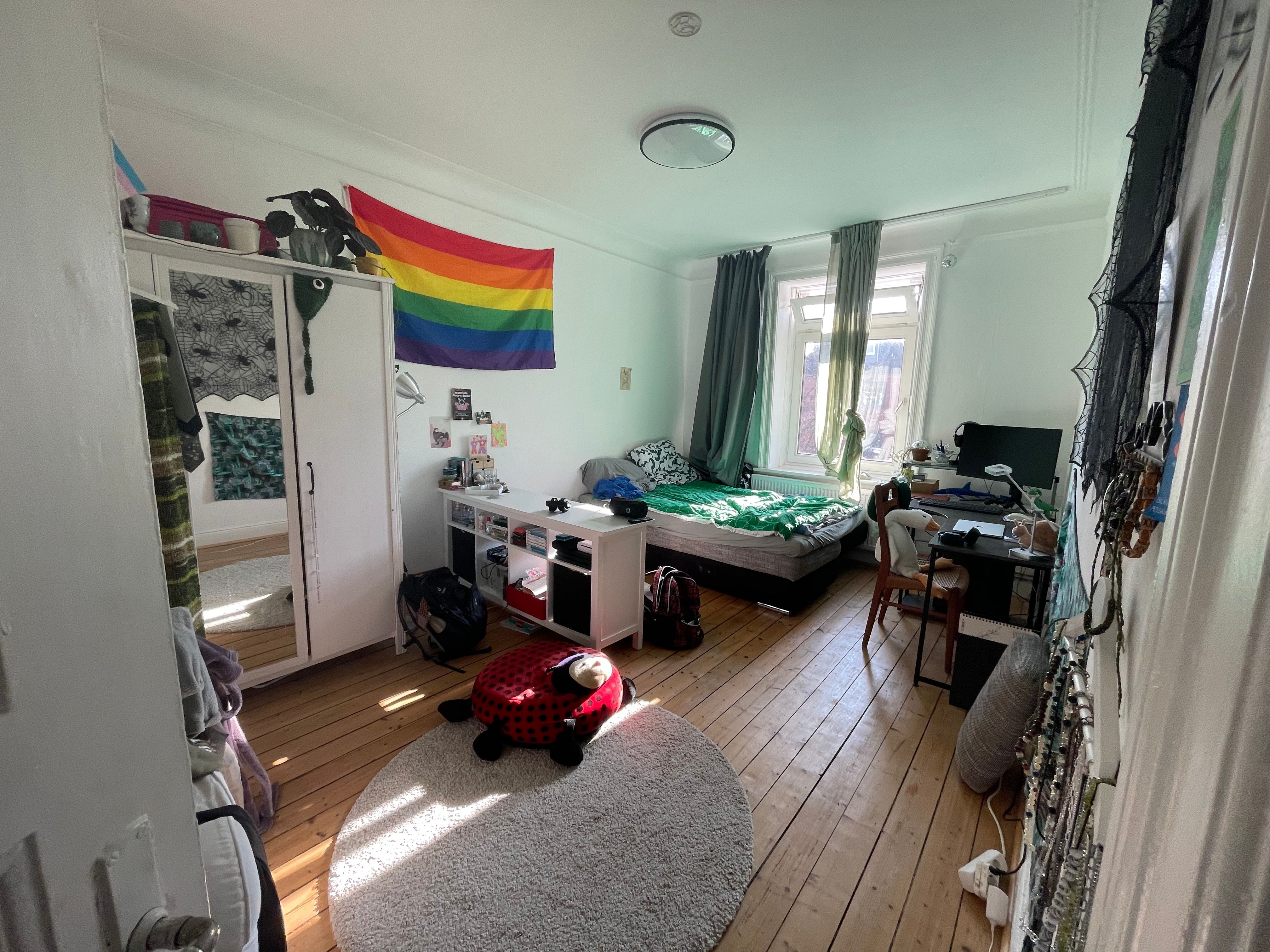 image-11