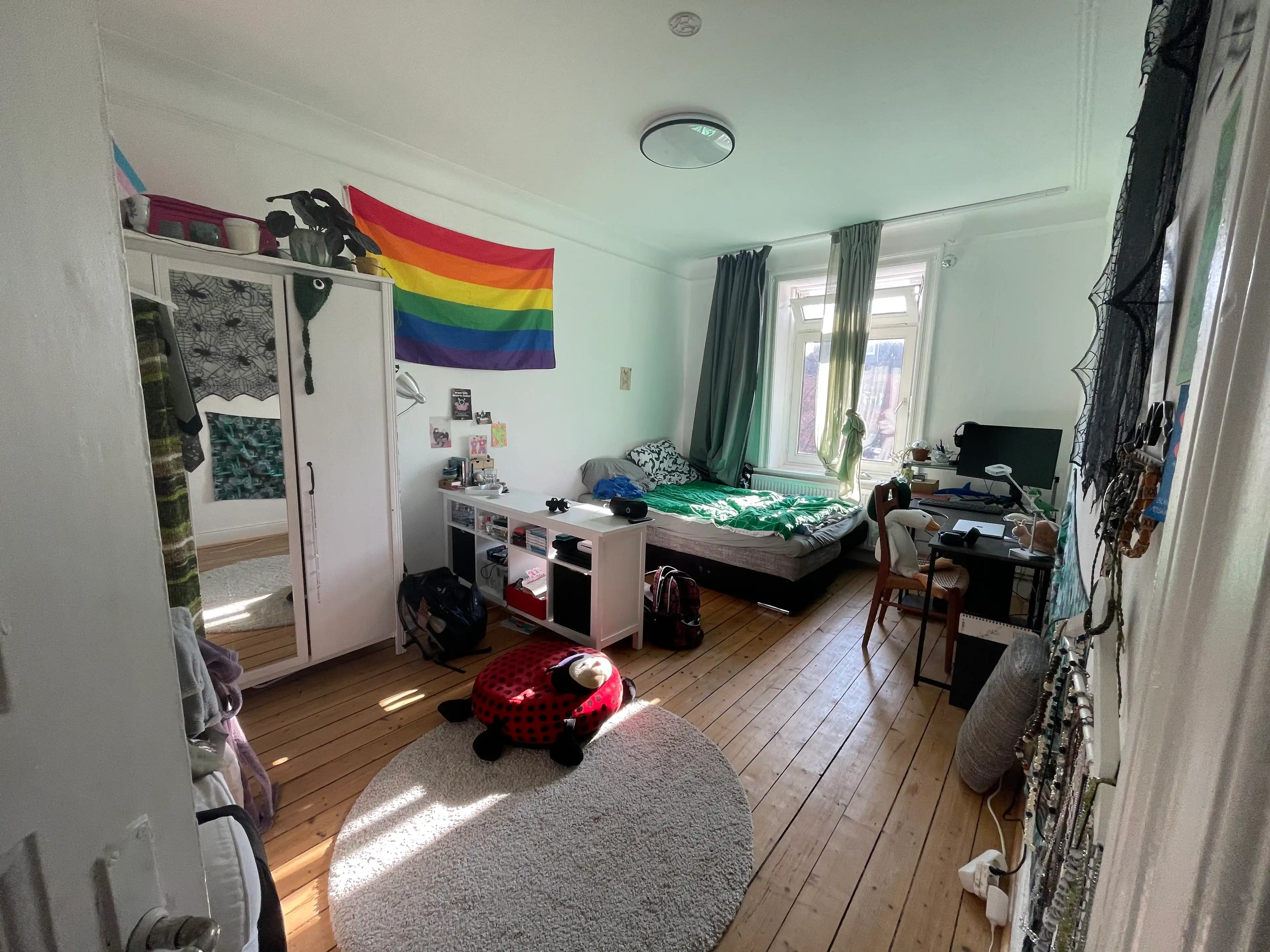 image-11