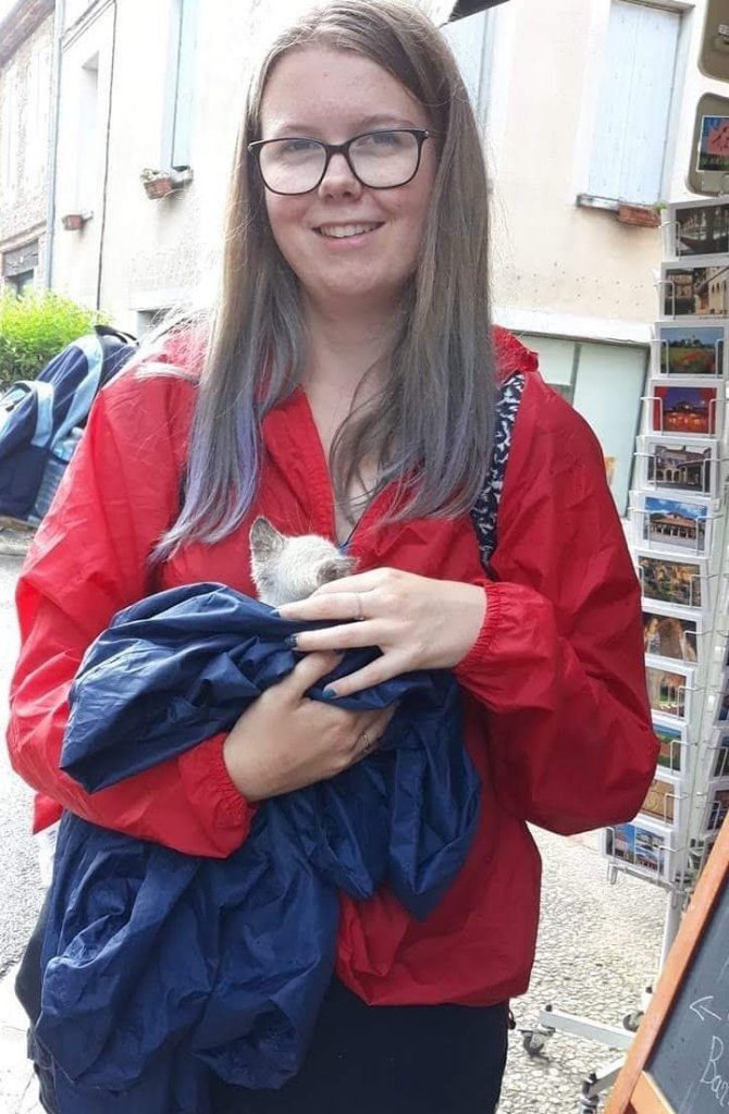 image-3