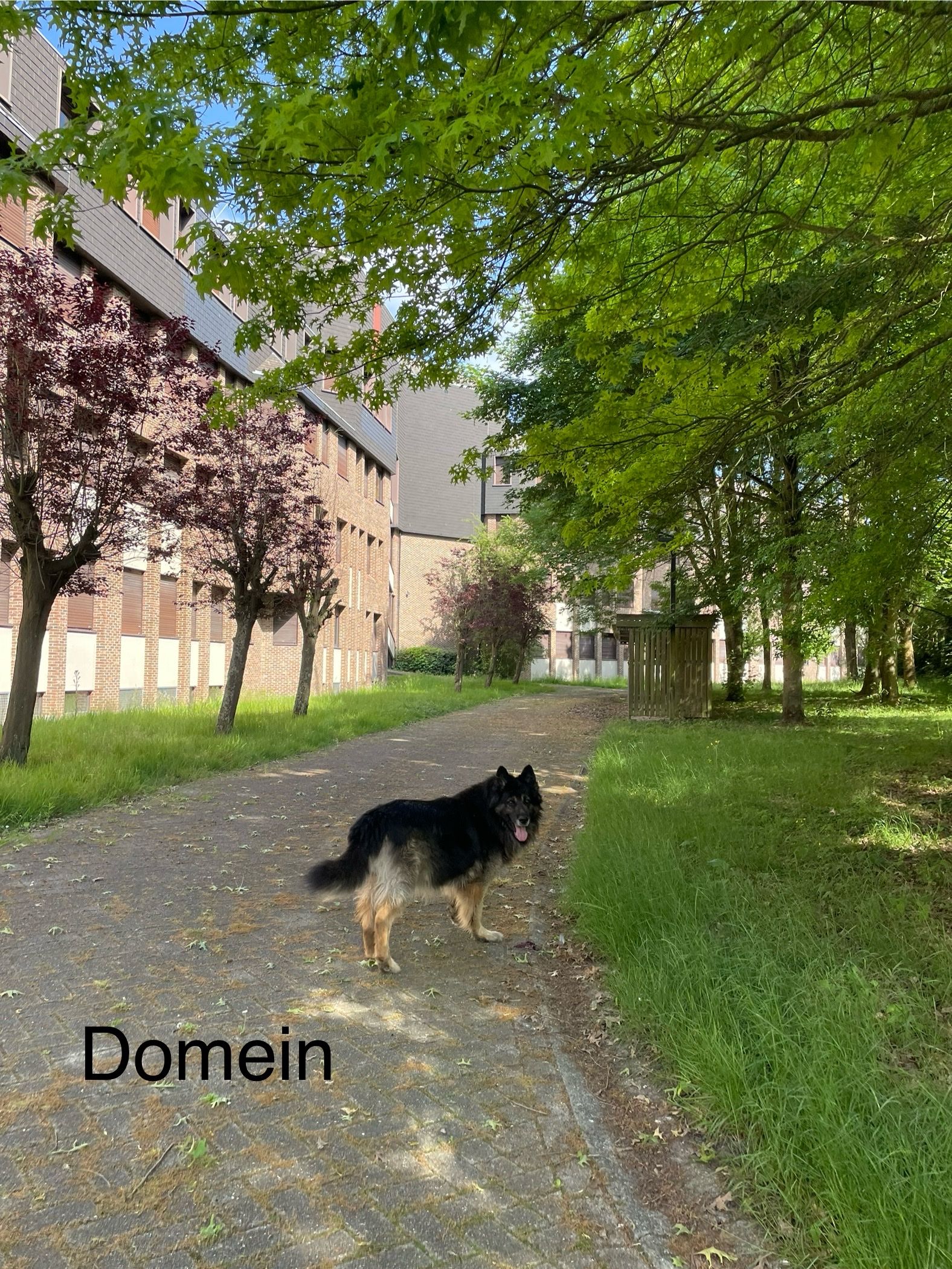 image-23