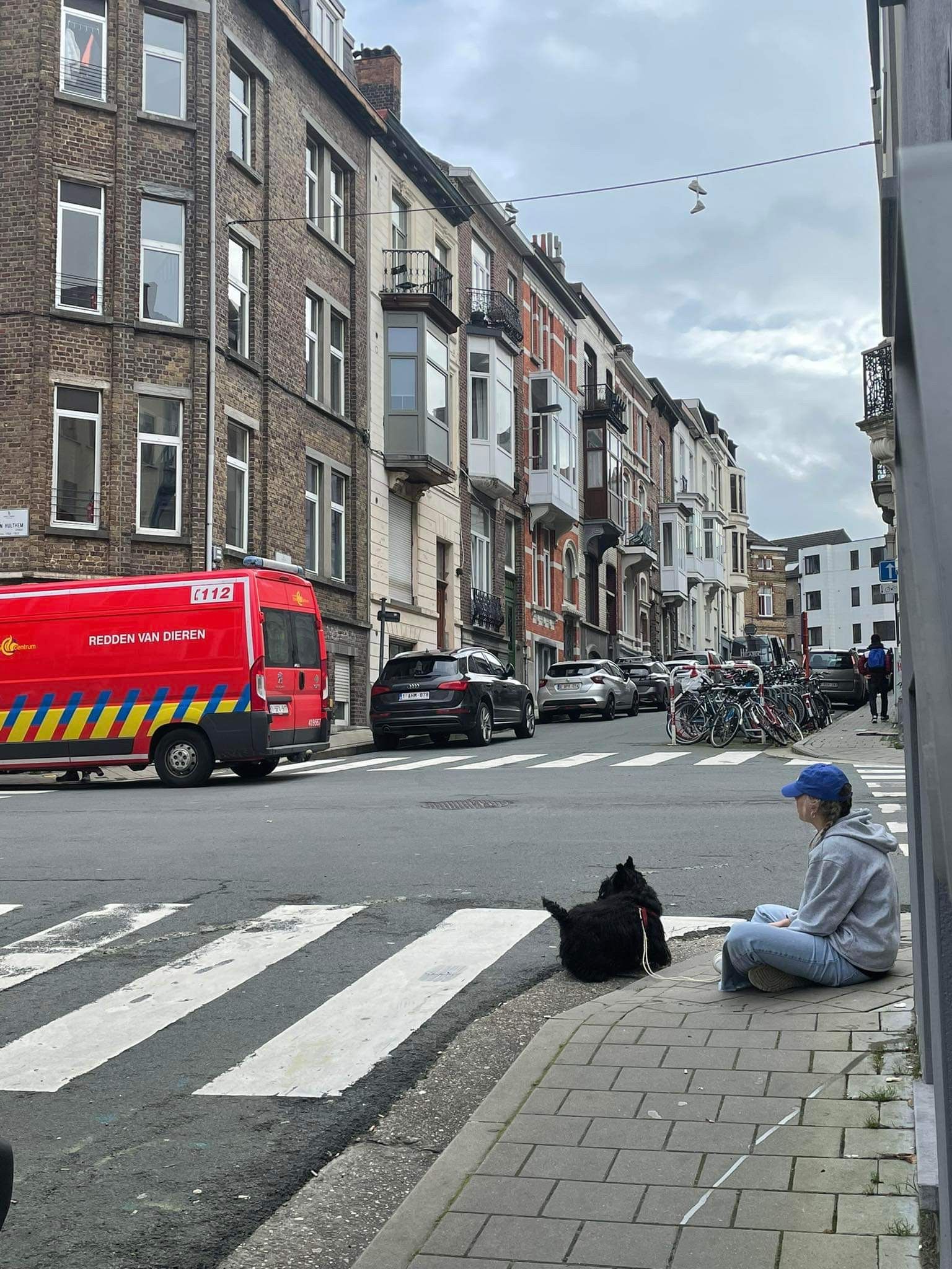image-9