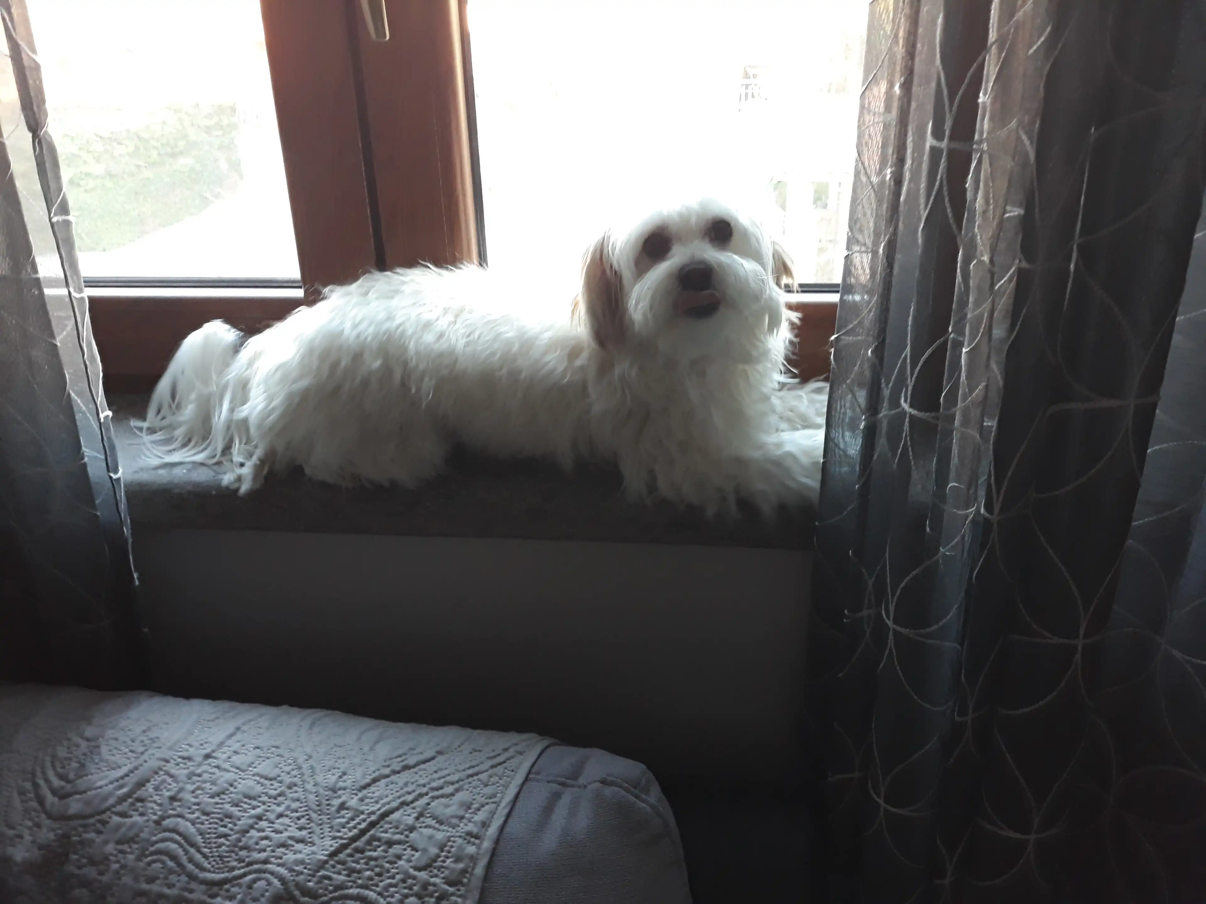 image-10