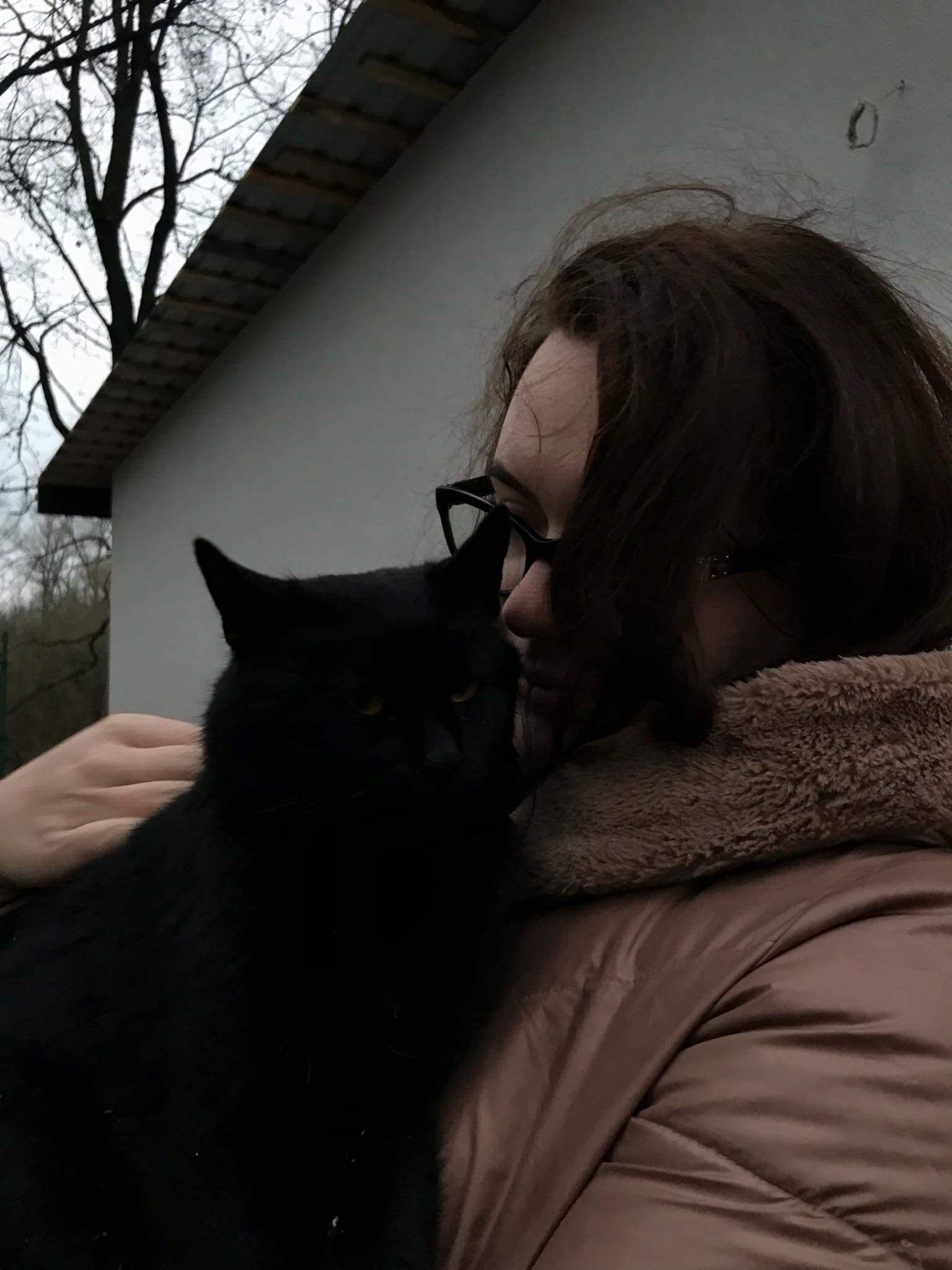 image-6