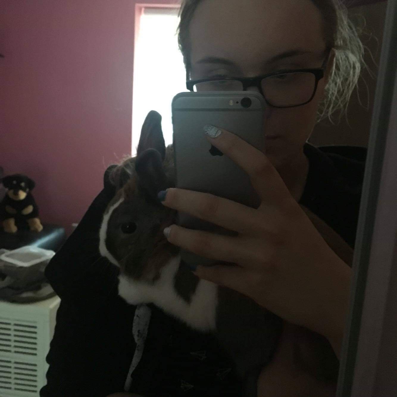 image-9