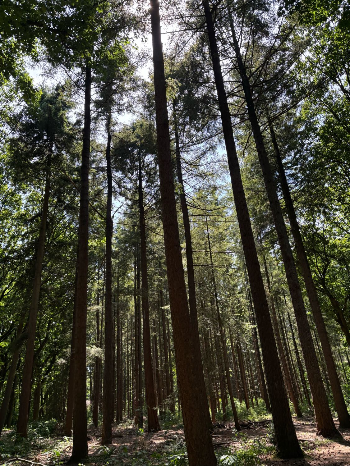 image-10