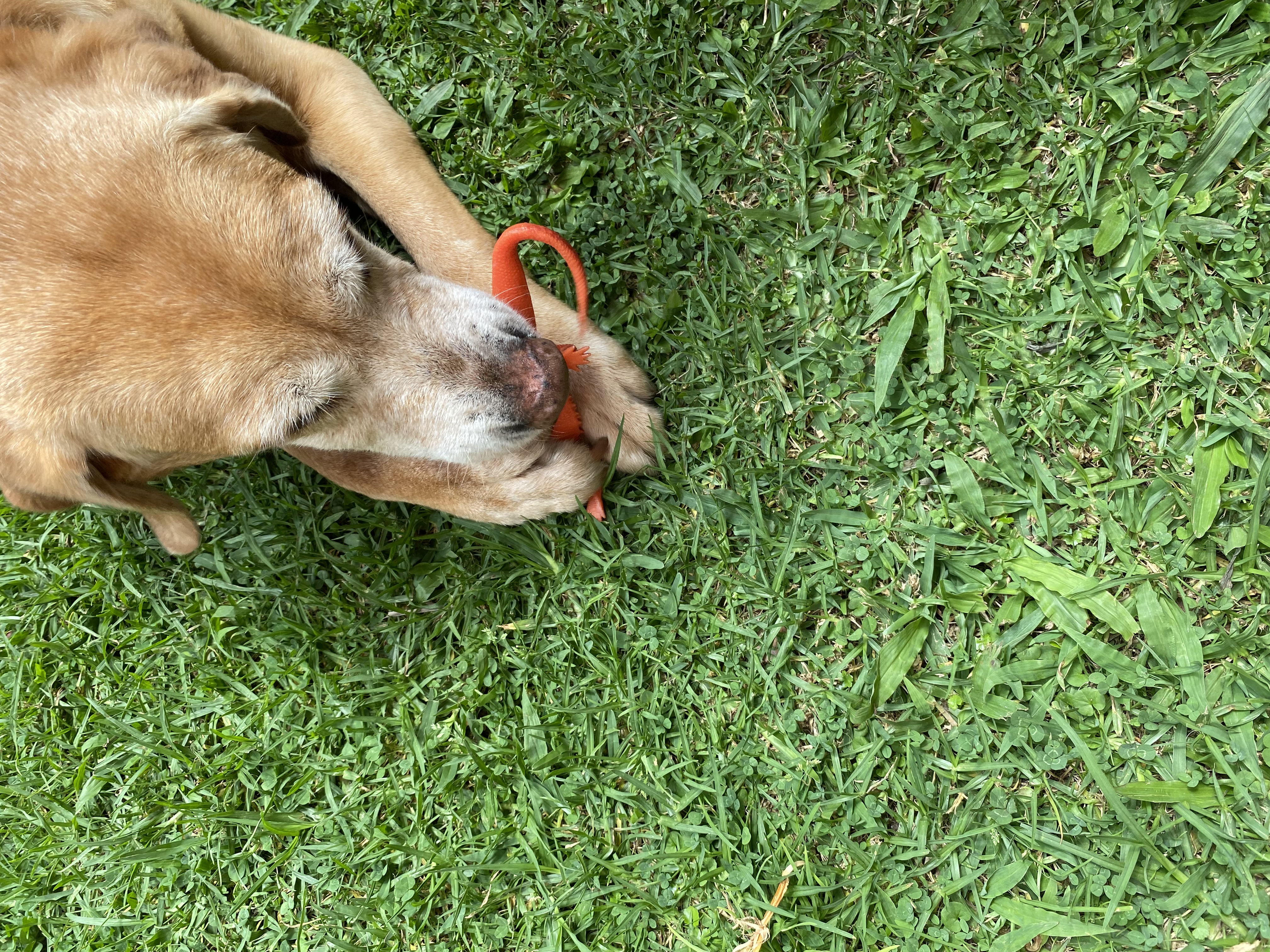 image-6