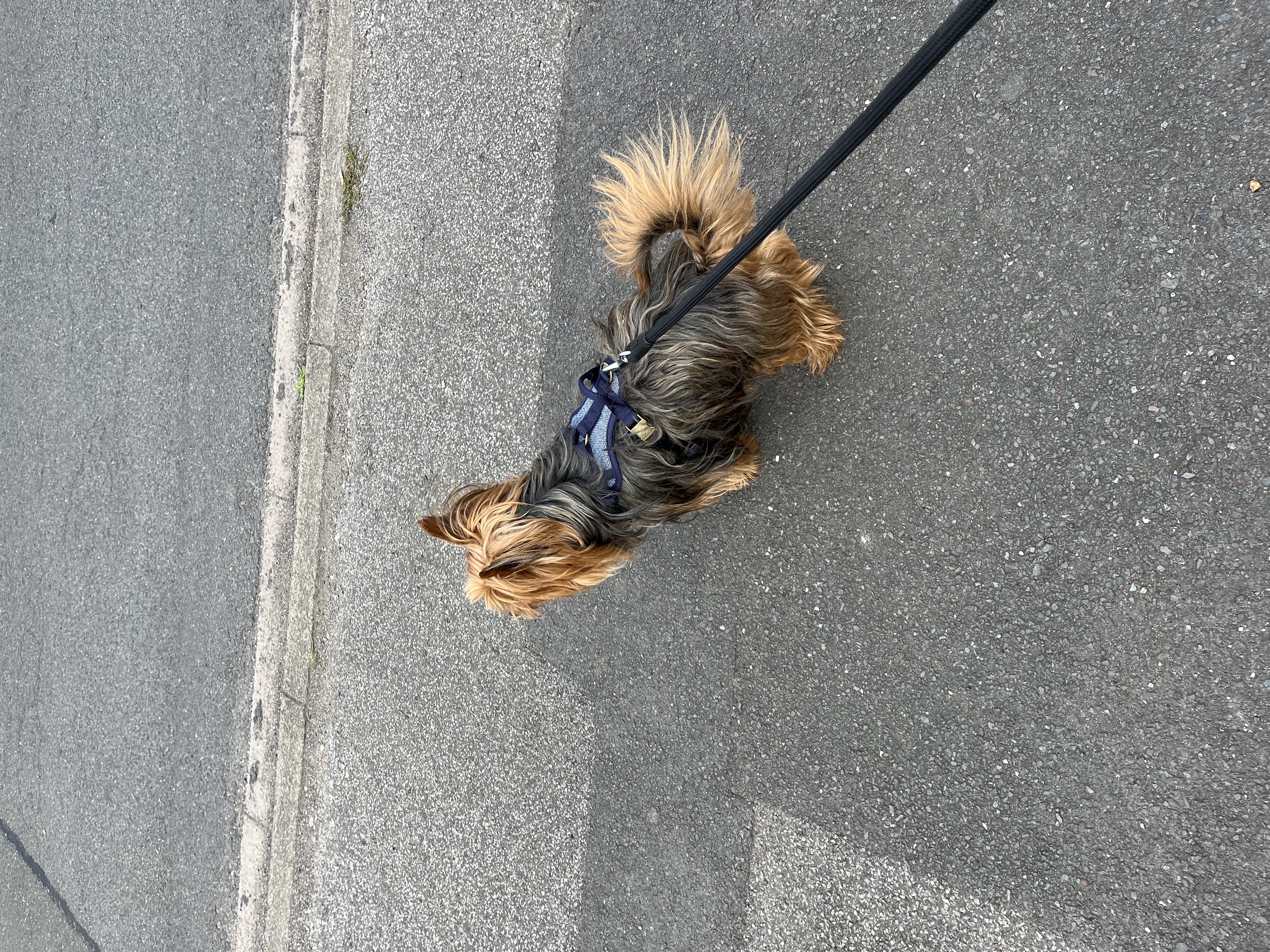 image-16
