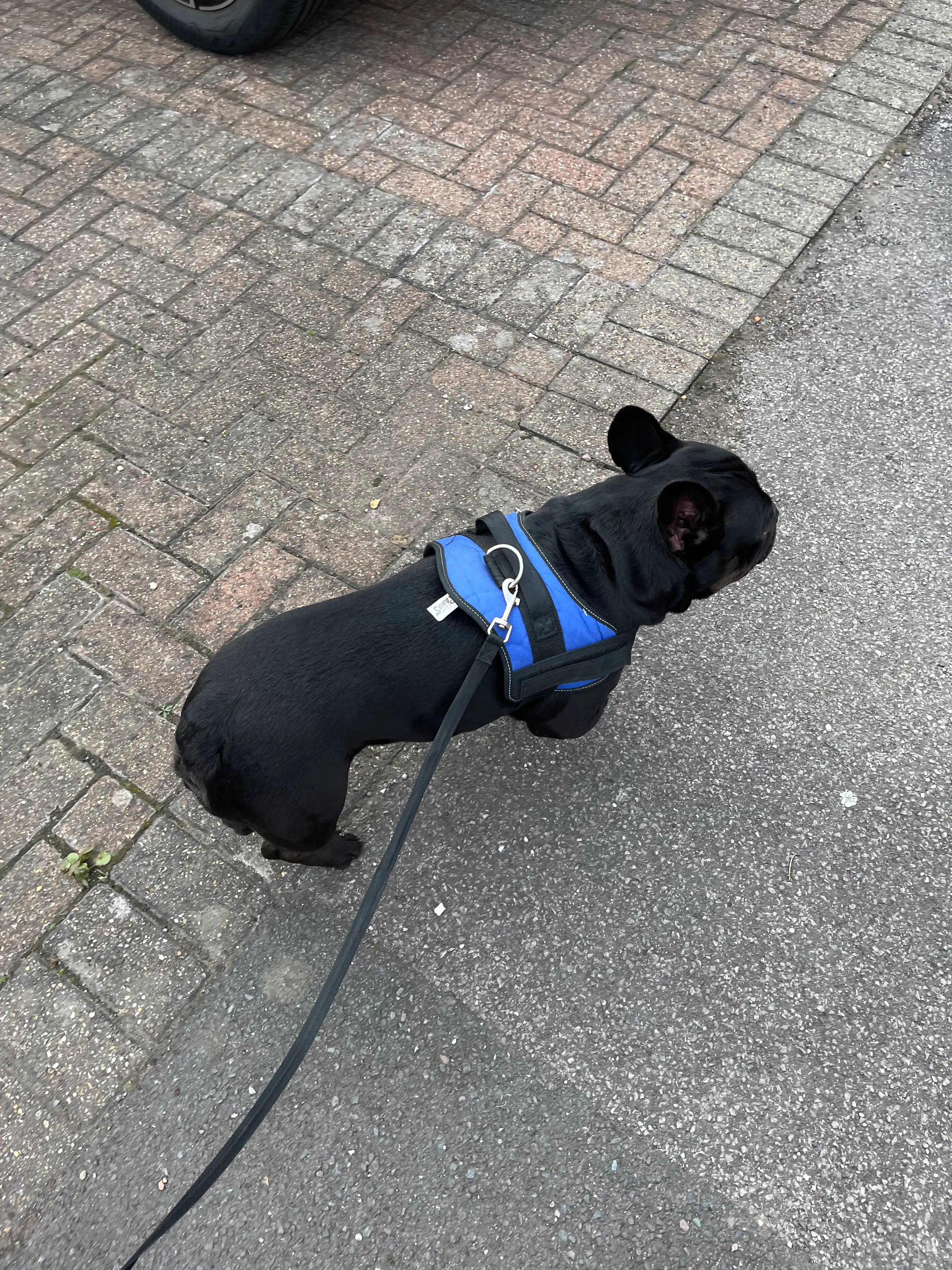 image-18