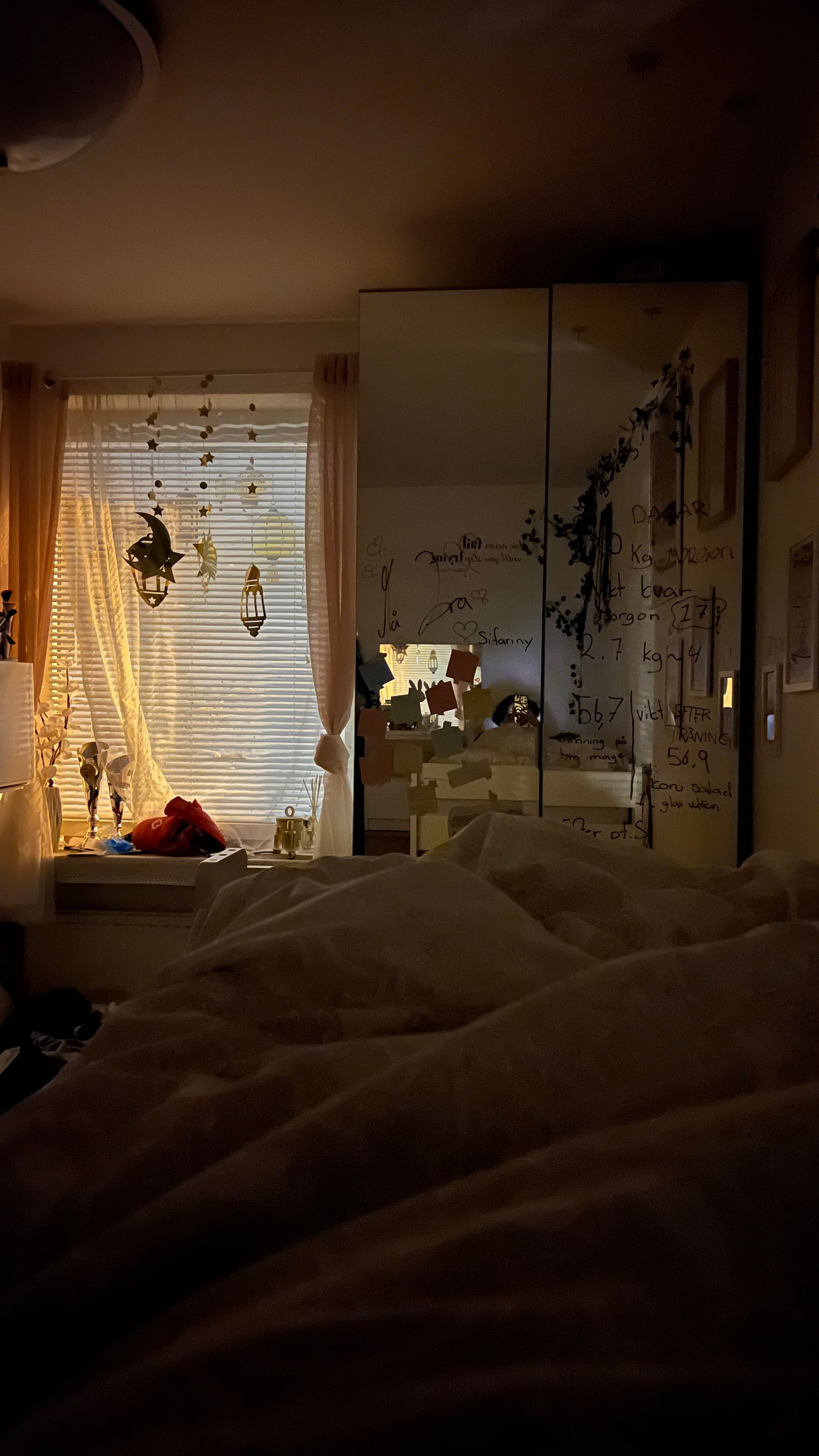image-7
