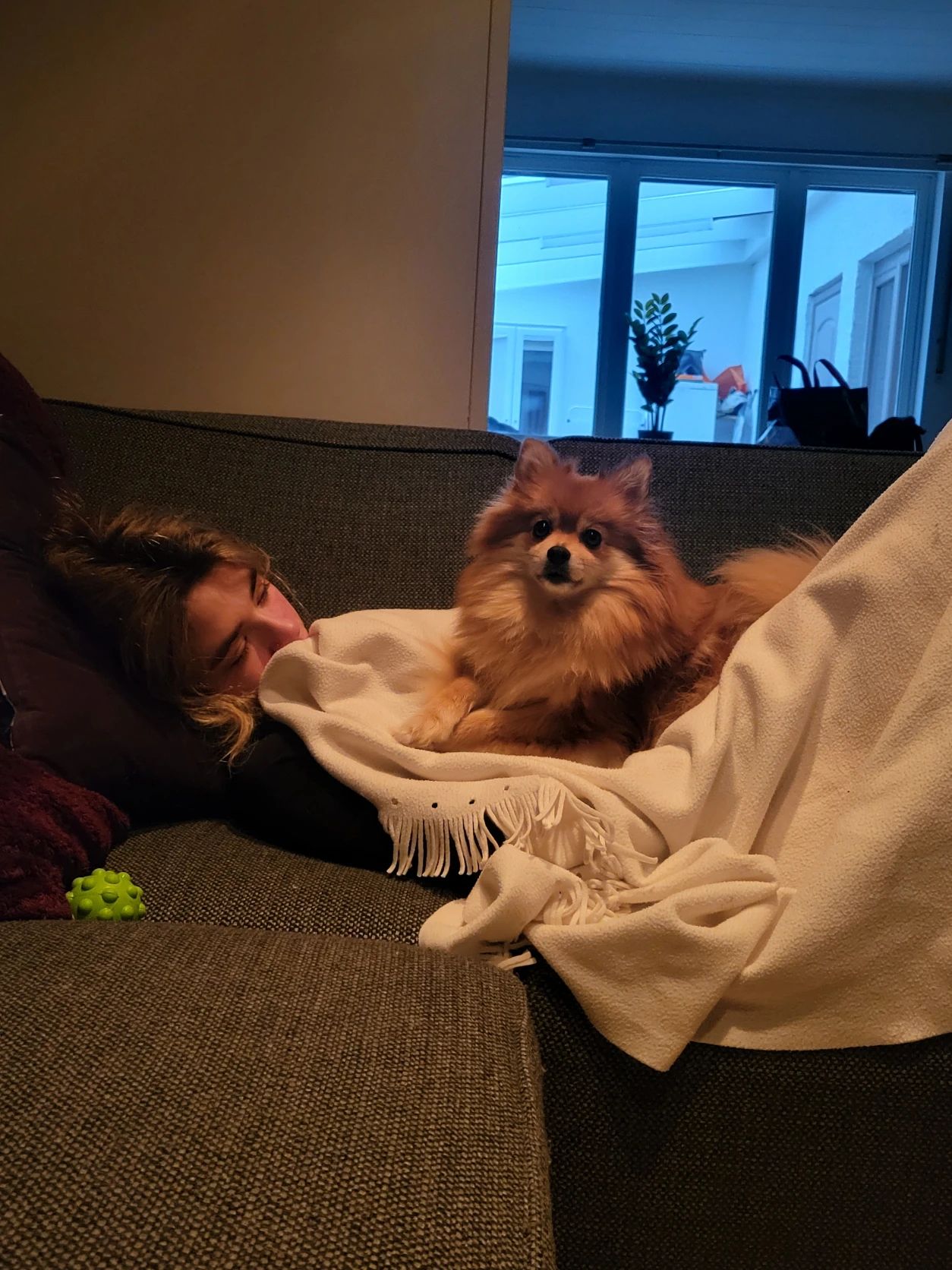 image-6